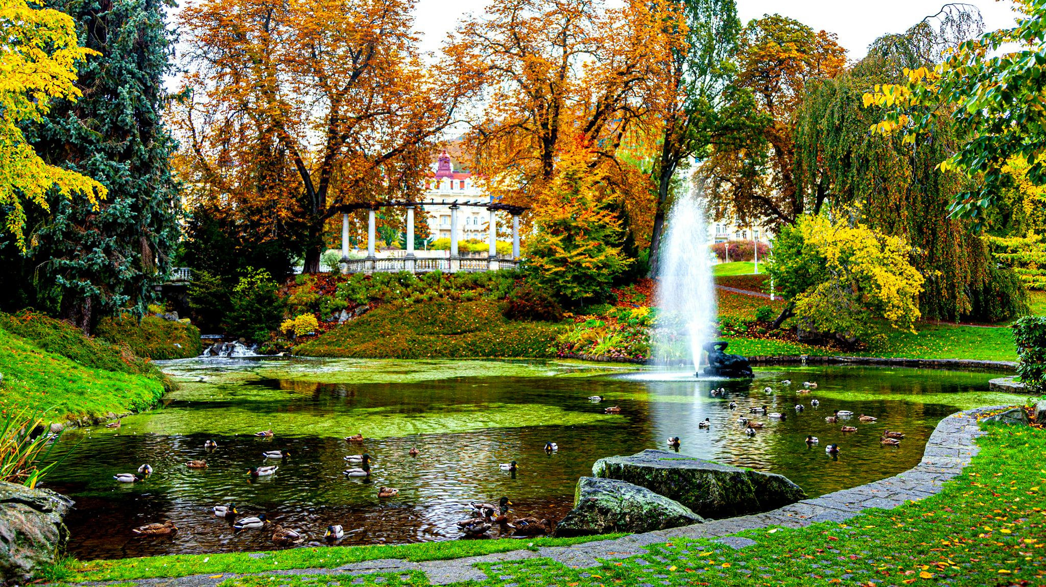 91.Marianske Lezne.12/10-18/10/2020. Путешествия в формате 360......