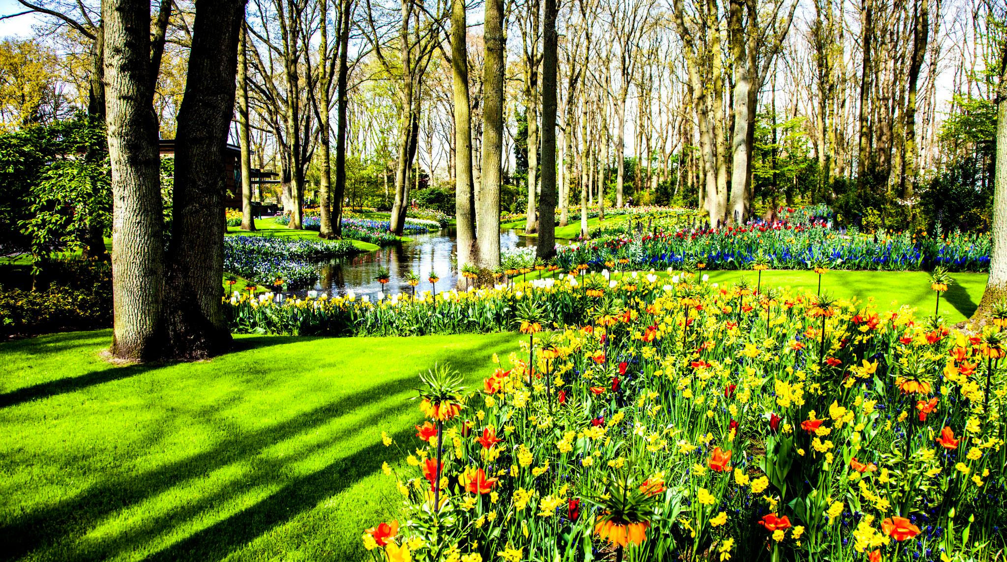 12.Keukenhof — 8 000 000…. Путешествия в формате 360......