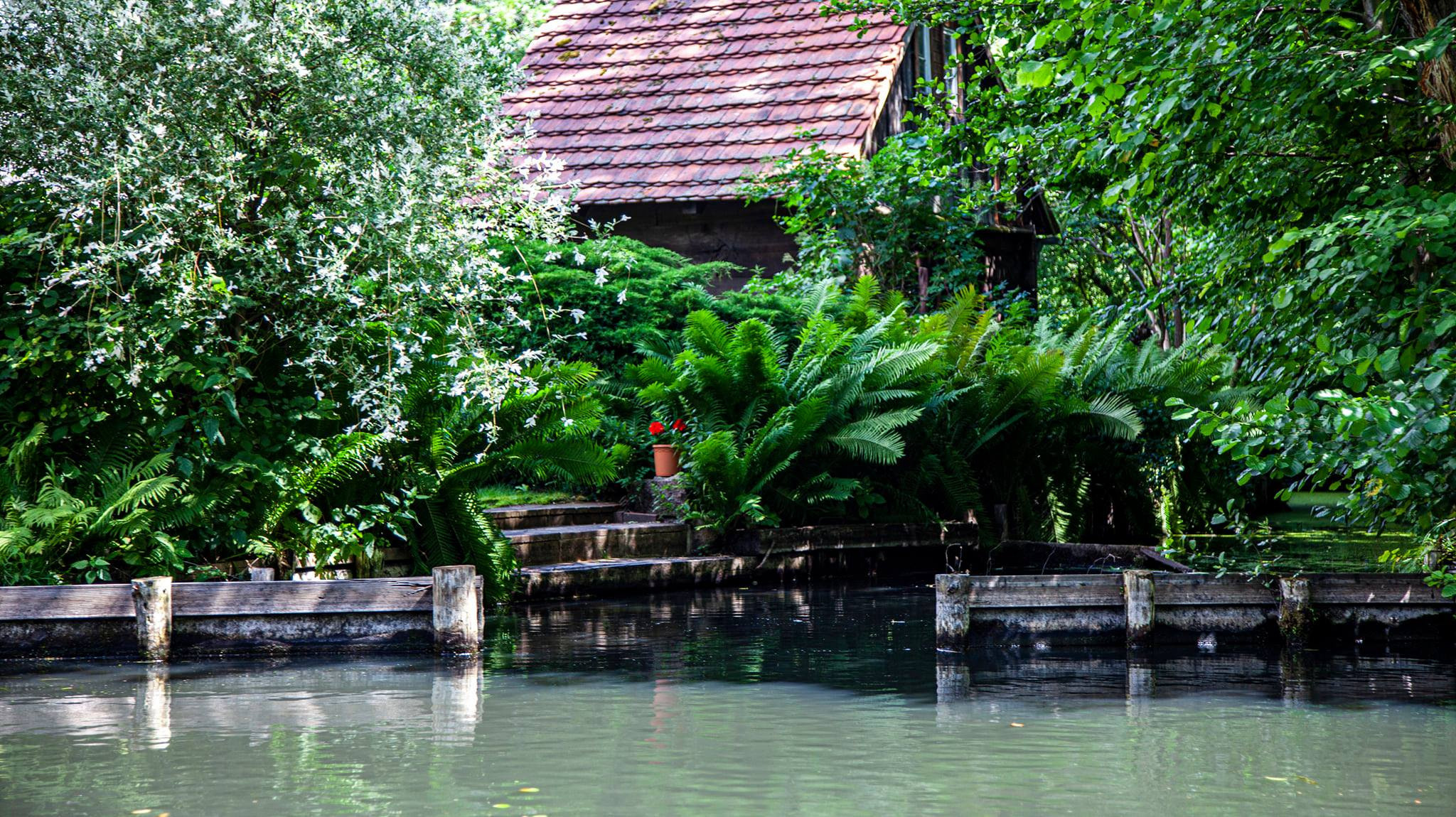 79.Lübbenau/Spreewald.27/6/2020. Путешествия в формате 360......
