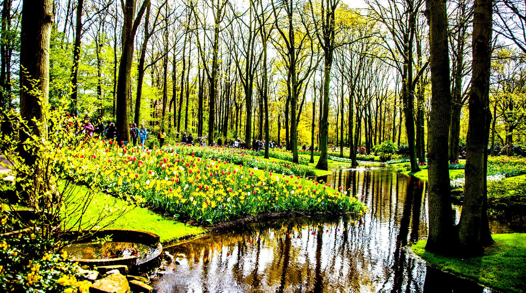 12.Keukenhof — 8 000 000…. Путешествия в формате 360......