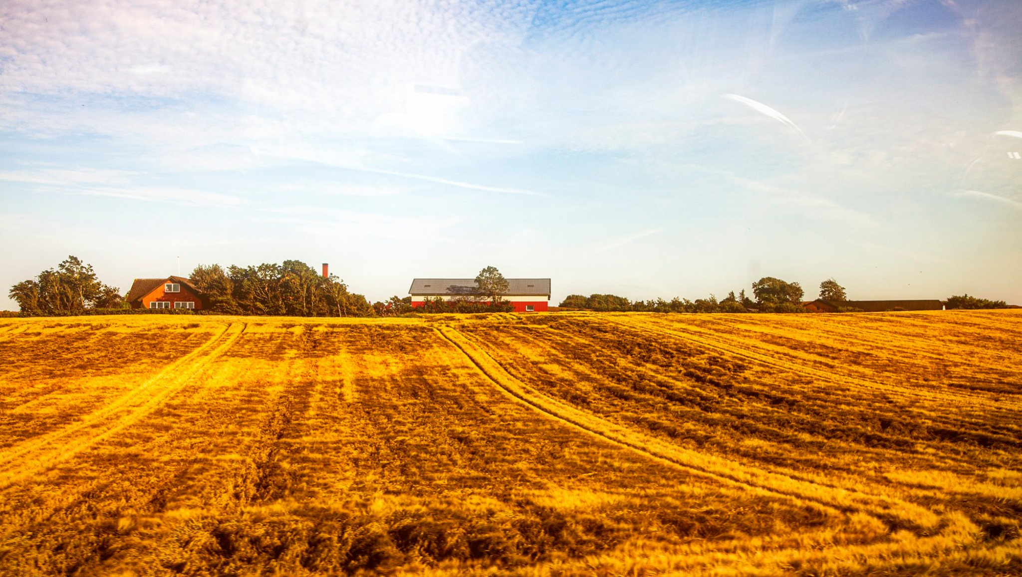 60.Kongeriget Danmark.Limfjord.Ostrov Mors.22/7-30/7/2019. Путешествия в формате 360......