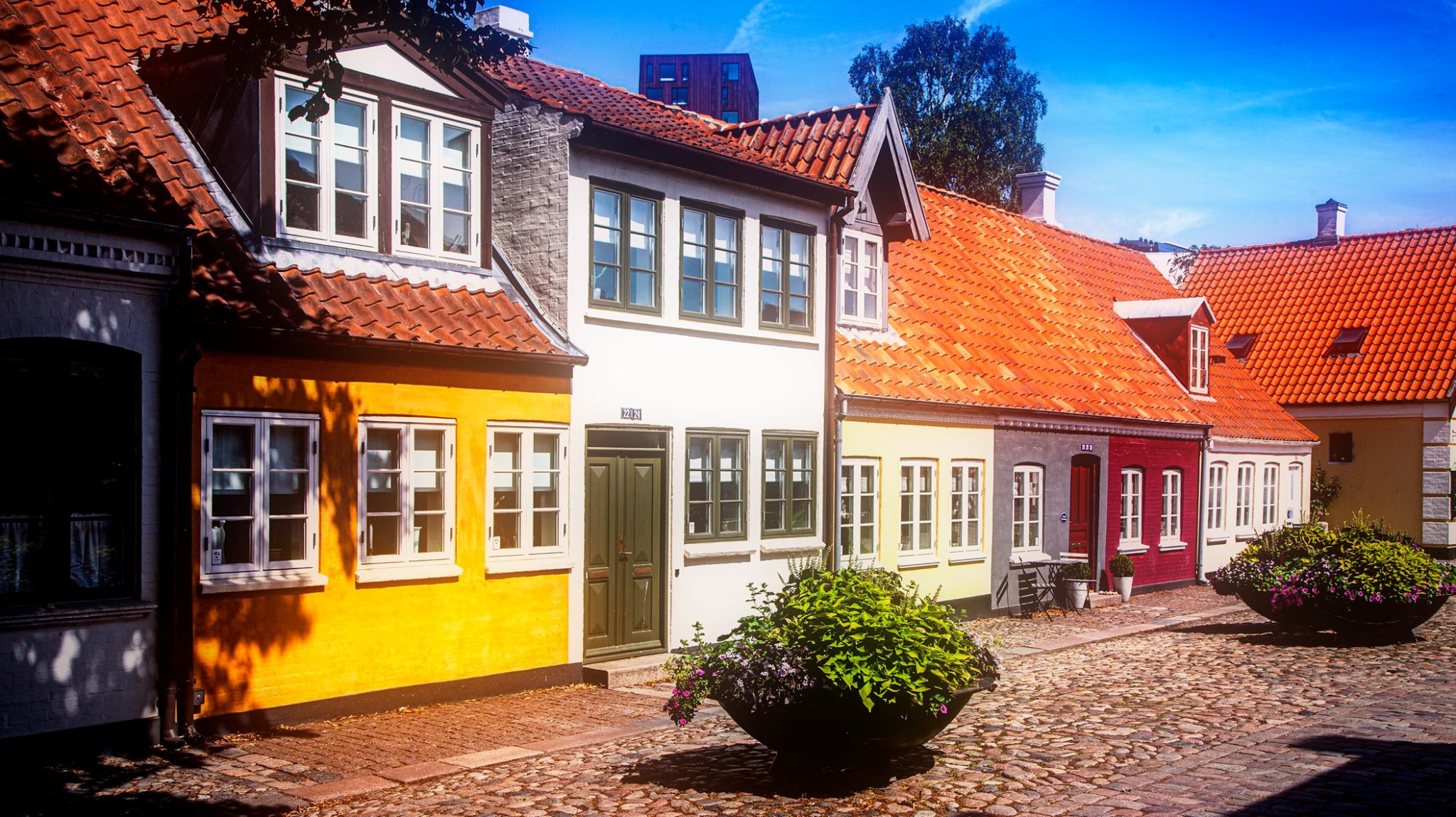54.Kongeriget Danmark.Odense.22/7-30/7/2019. Путешествия в формате 360......