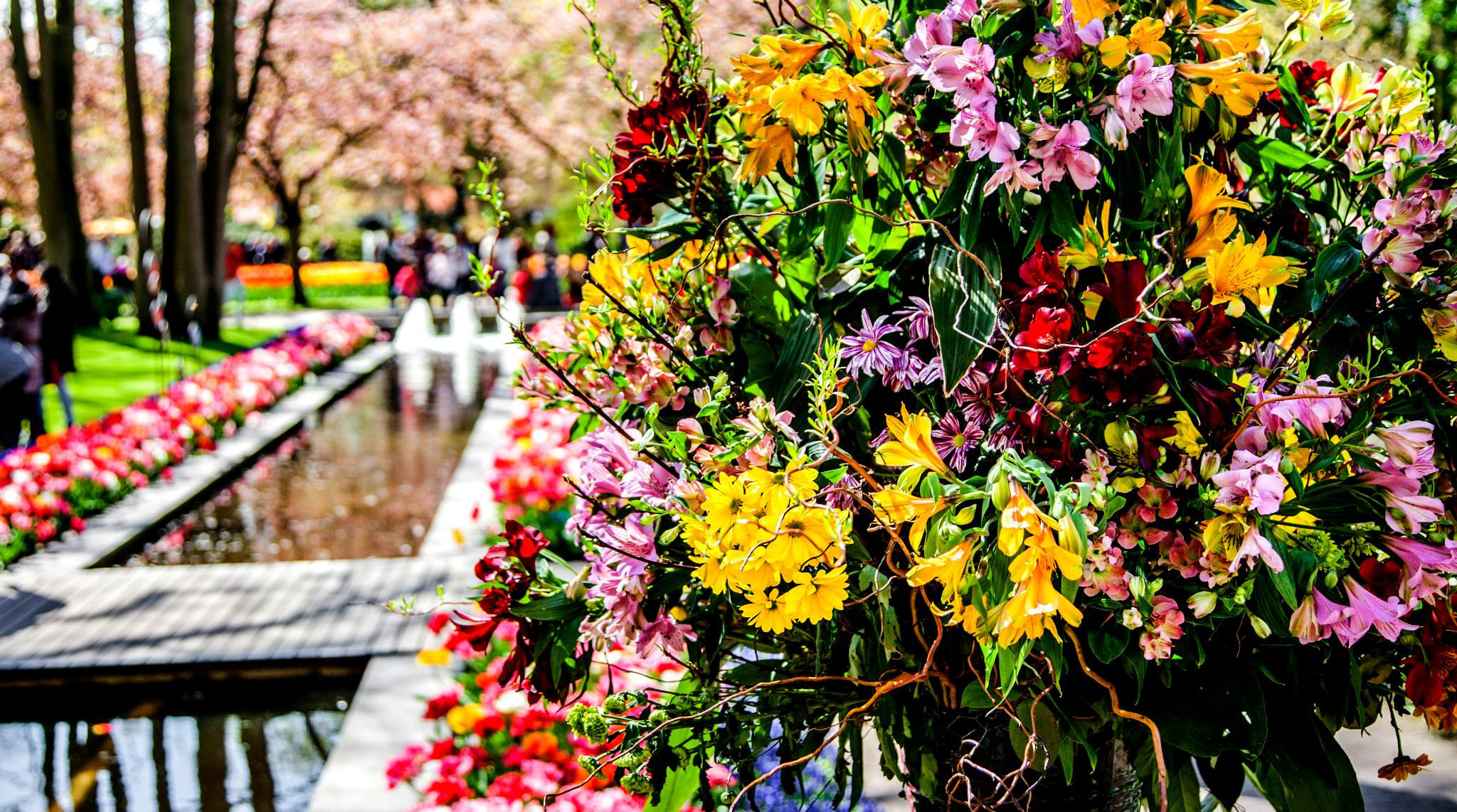 12.Keukenhof — 8 000 000…. Путешествия в формате 360......