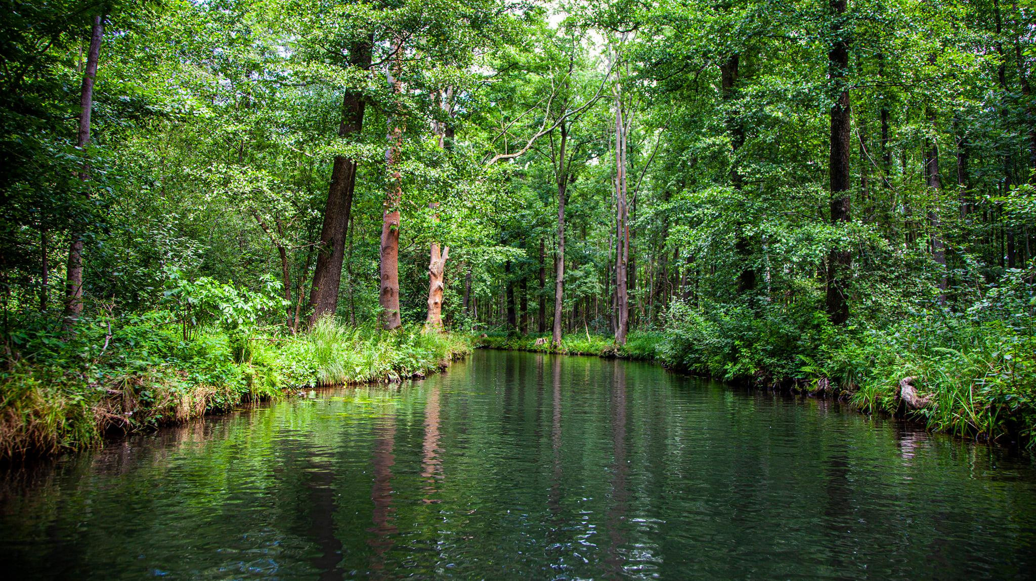 79.Lübbenau/Spreewald.27/6/2020. Путешествия в формате 360......