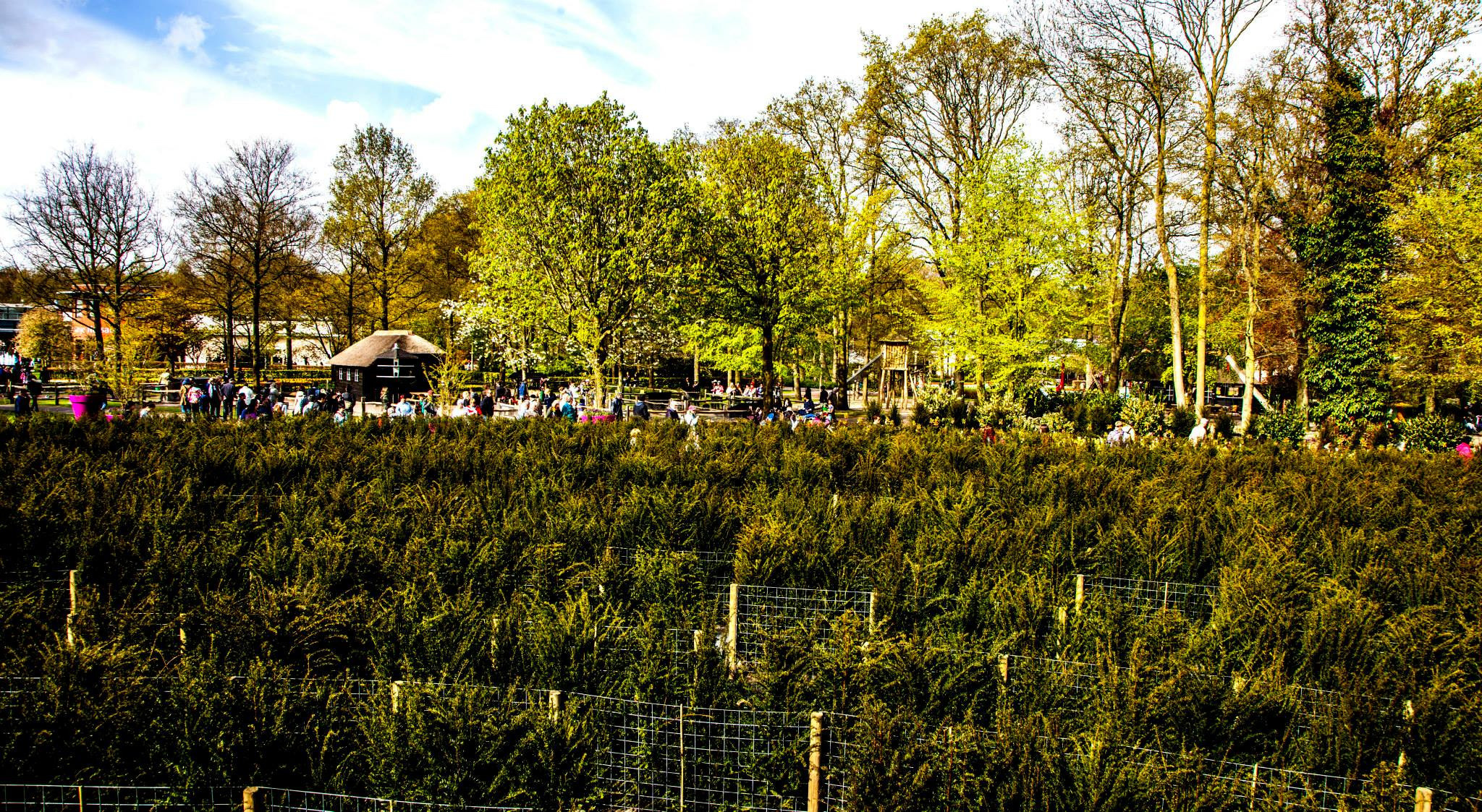 12.Keukenhof — 8 000 000…. Путешествия в формате 360......
