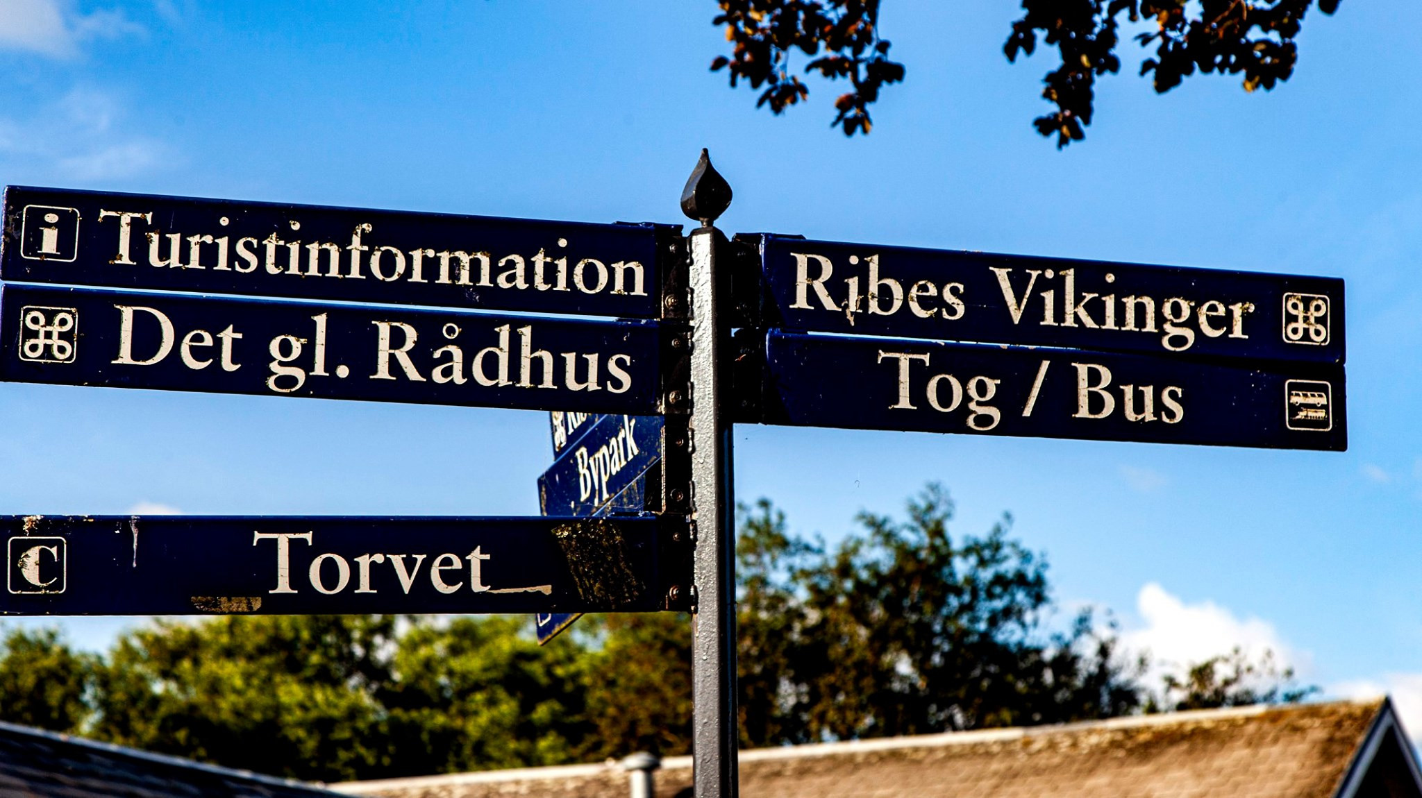 55.Kongeriget Danmark.Ribe.22/7-30/7/2019. Путешествия в формате 360......
