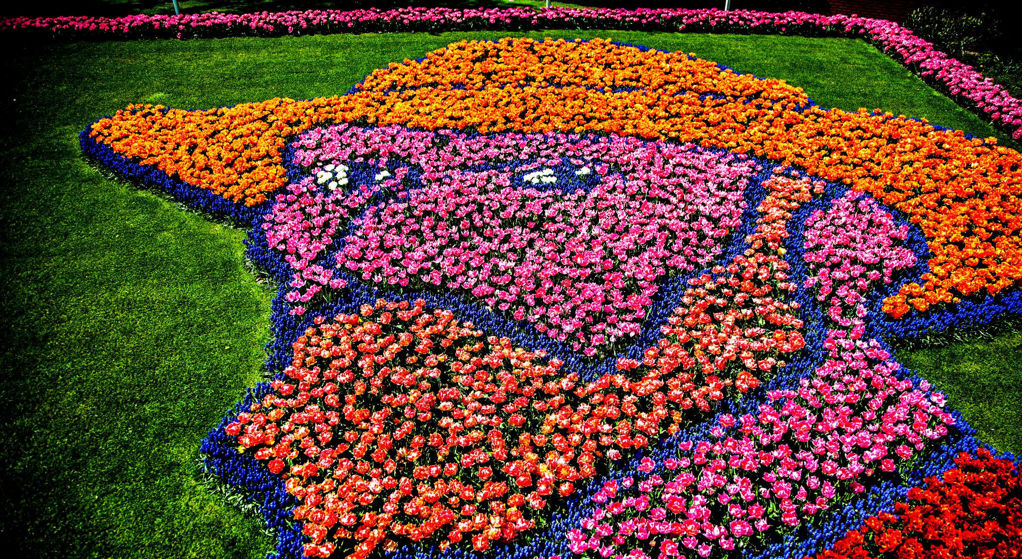 12.Keukenhof — 8 000 000…. Путешествия в формате 360......