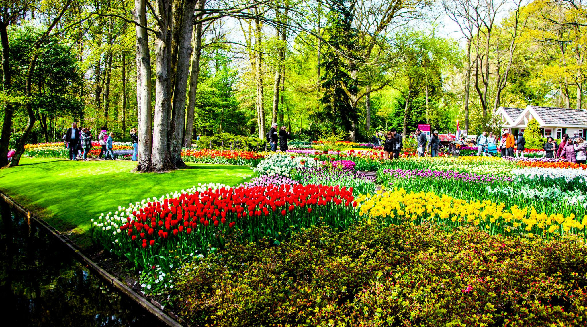 12.Keukenhof — 8 000 000…. Путешествия в формате 360......