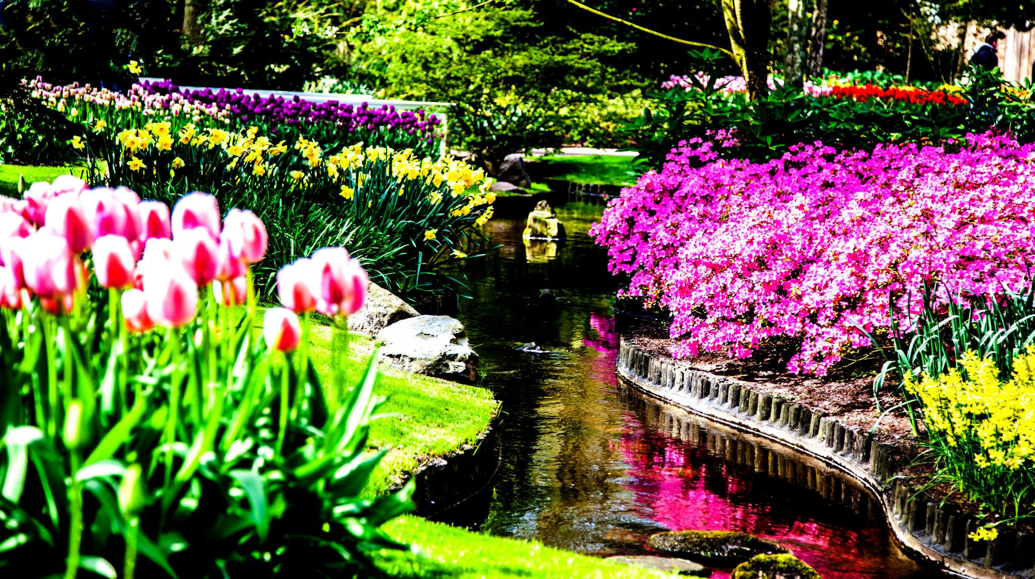 12.Keukenhof — 8 000 000…. Путешествия в формате 360......