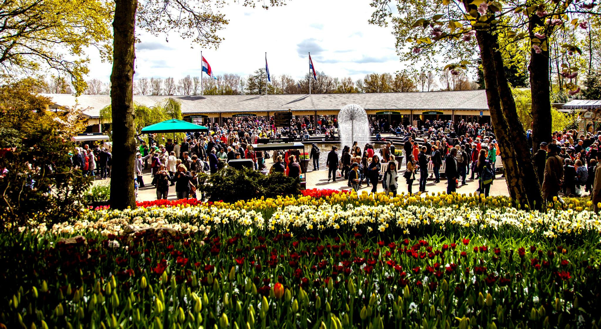 12.Keukenhof — 8 000 000…. Путешествия в формате 360......