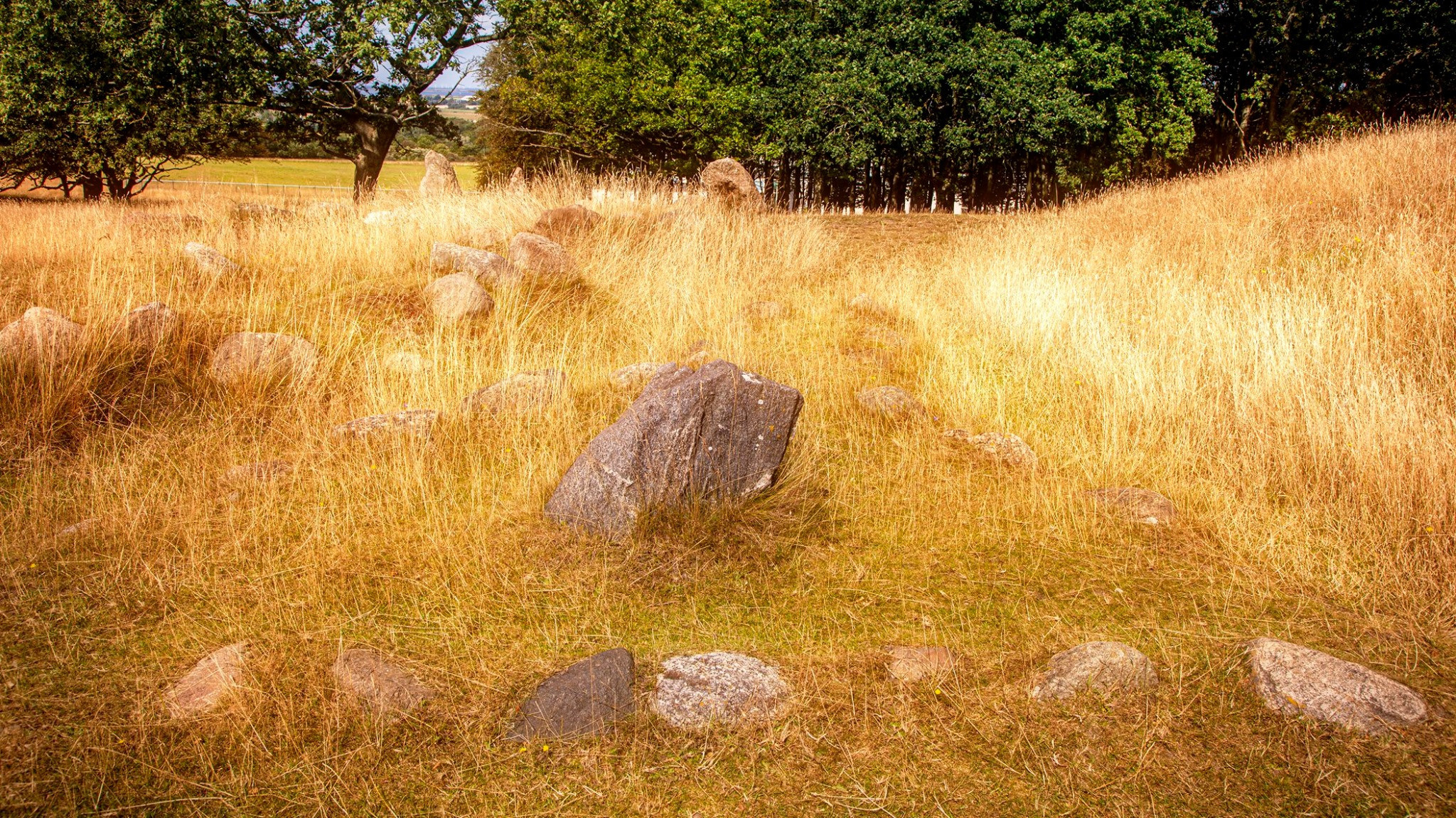 58.Kongeriget Danmark.Lindholm Høje.22/7-30/7/2019. Путешествия в формате 360......