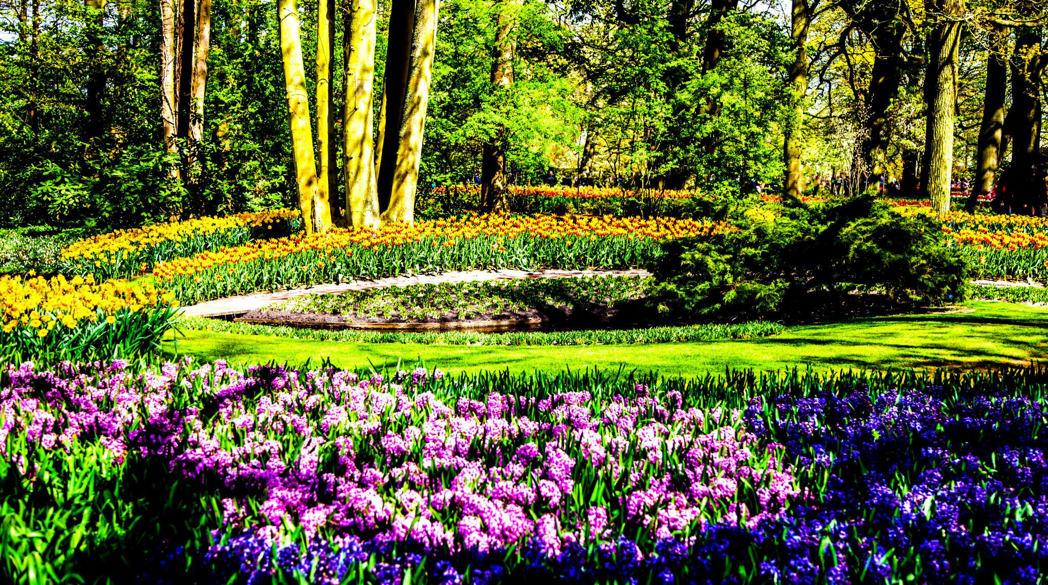 12.Keukenhof — 8 000 000…. Путешествия в формате 360......