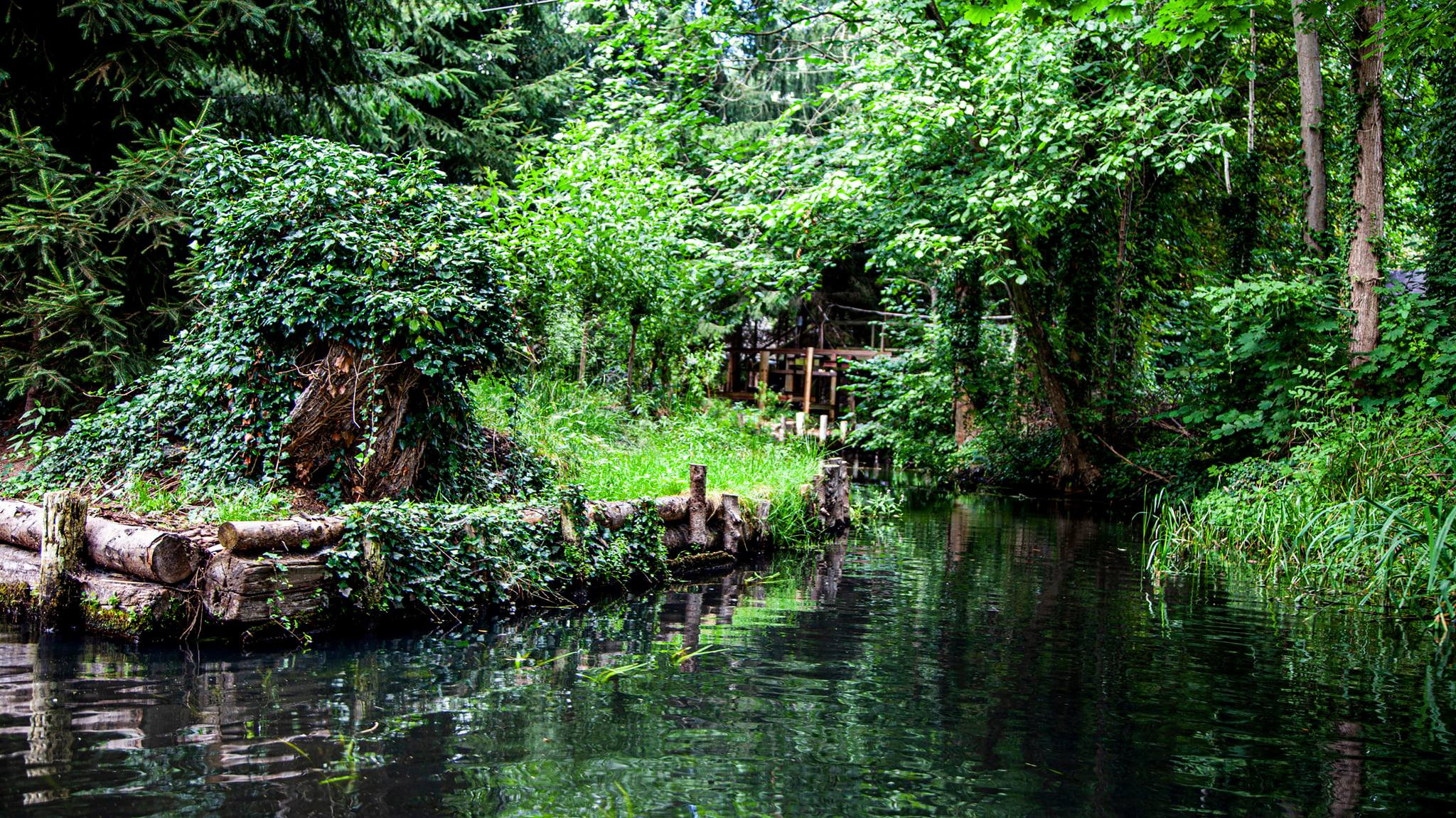 79.Lübbenau/Spreewald.27/6/2020. Путешествия в формате 360......