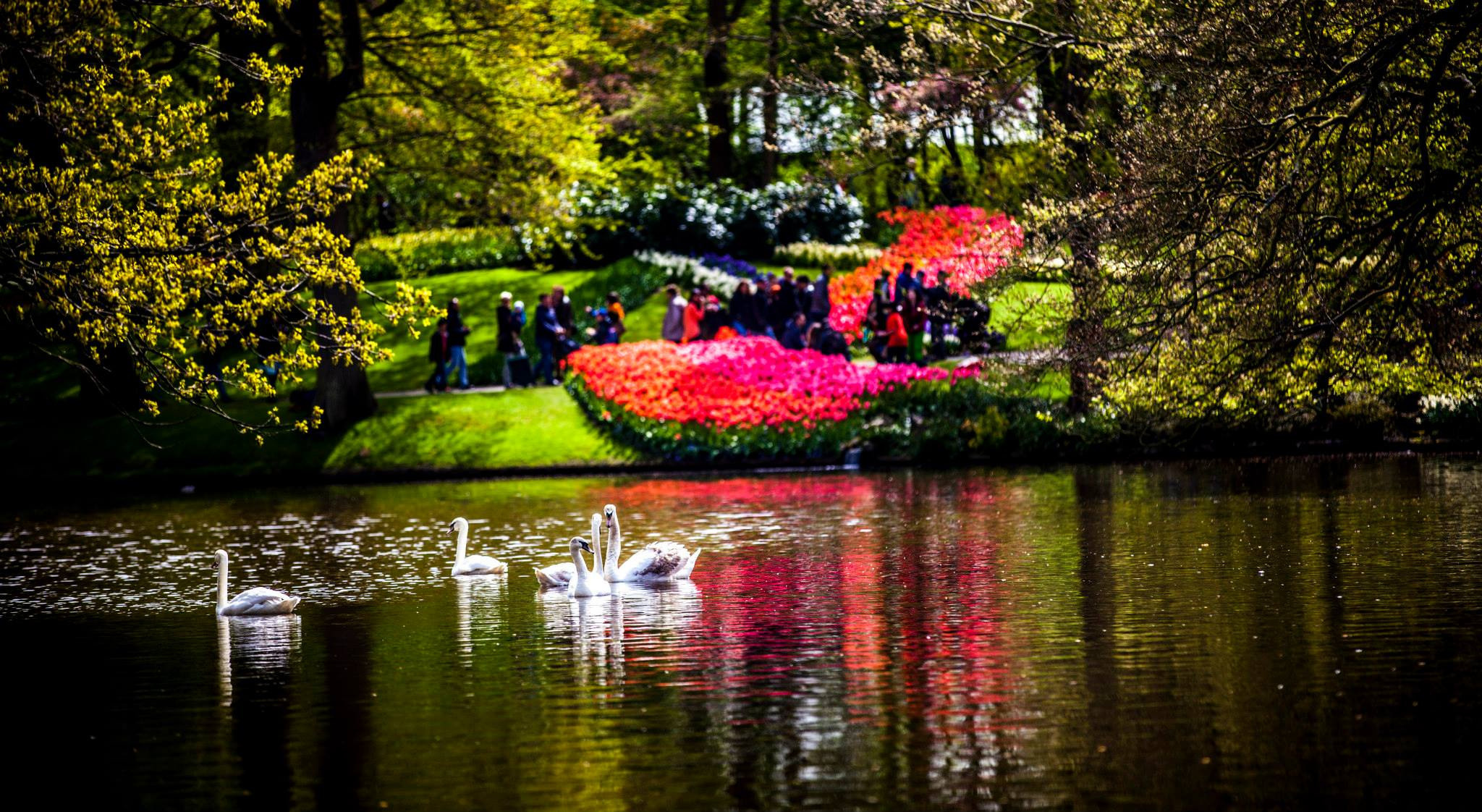 12.Keukenhof — 8 000 000…. Путешествия в формате 360......