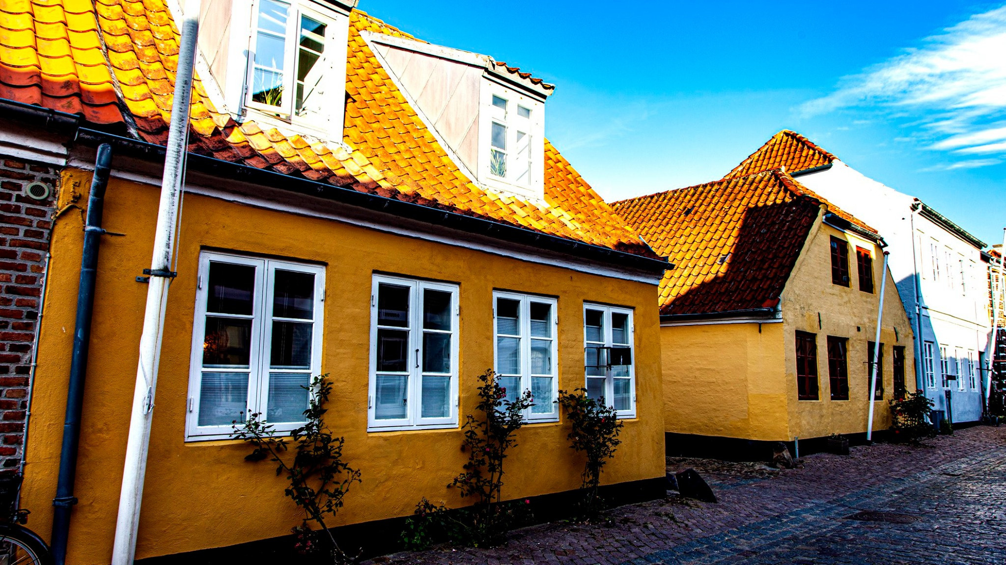 55.Kongeriget Danmark.Ribe.22/7-30/7/2019. Путешествия в формате 360......