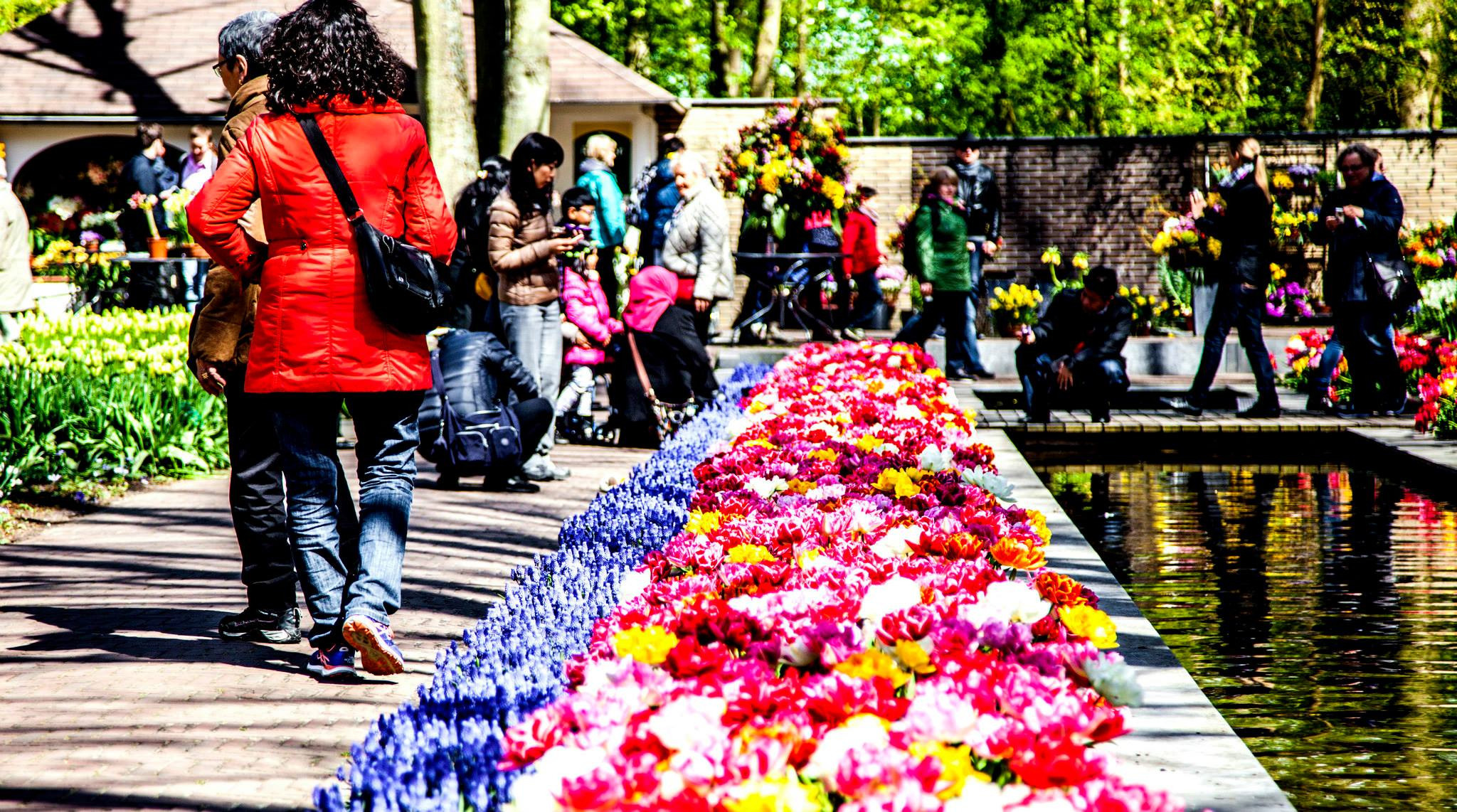 12.Keukenhof — 8 000 000…. Путешествия в формате 360......
