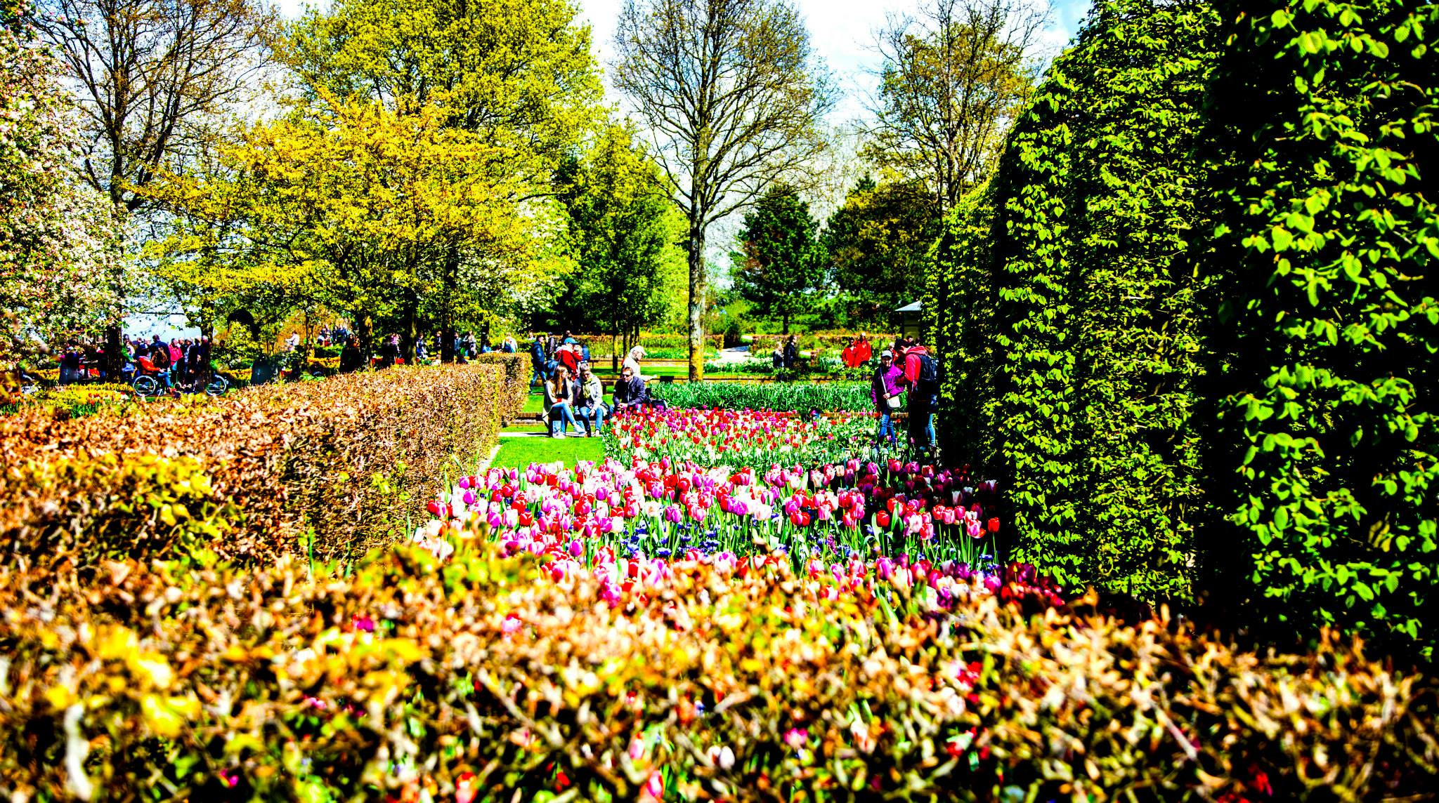 12.Keukenhof — 8 000 000…. Путешествия в формате 360......