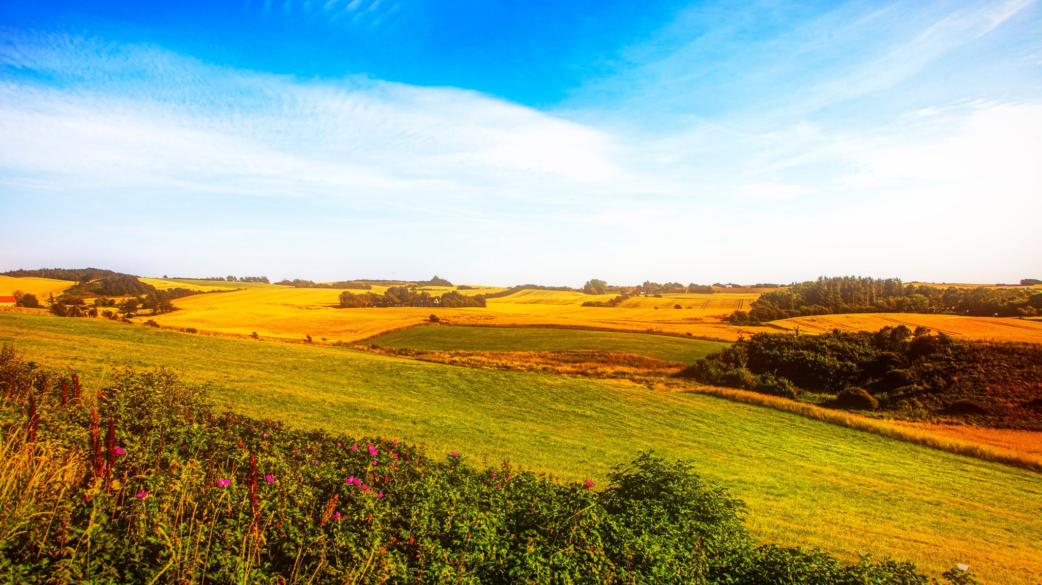 60.Kongeriget Danmark.Limfjord.Ostrov Mors.22/7-30/7/2019. Путешествия в формате 360......