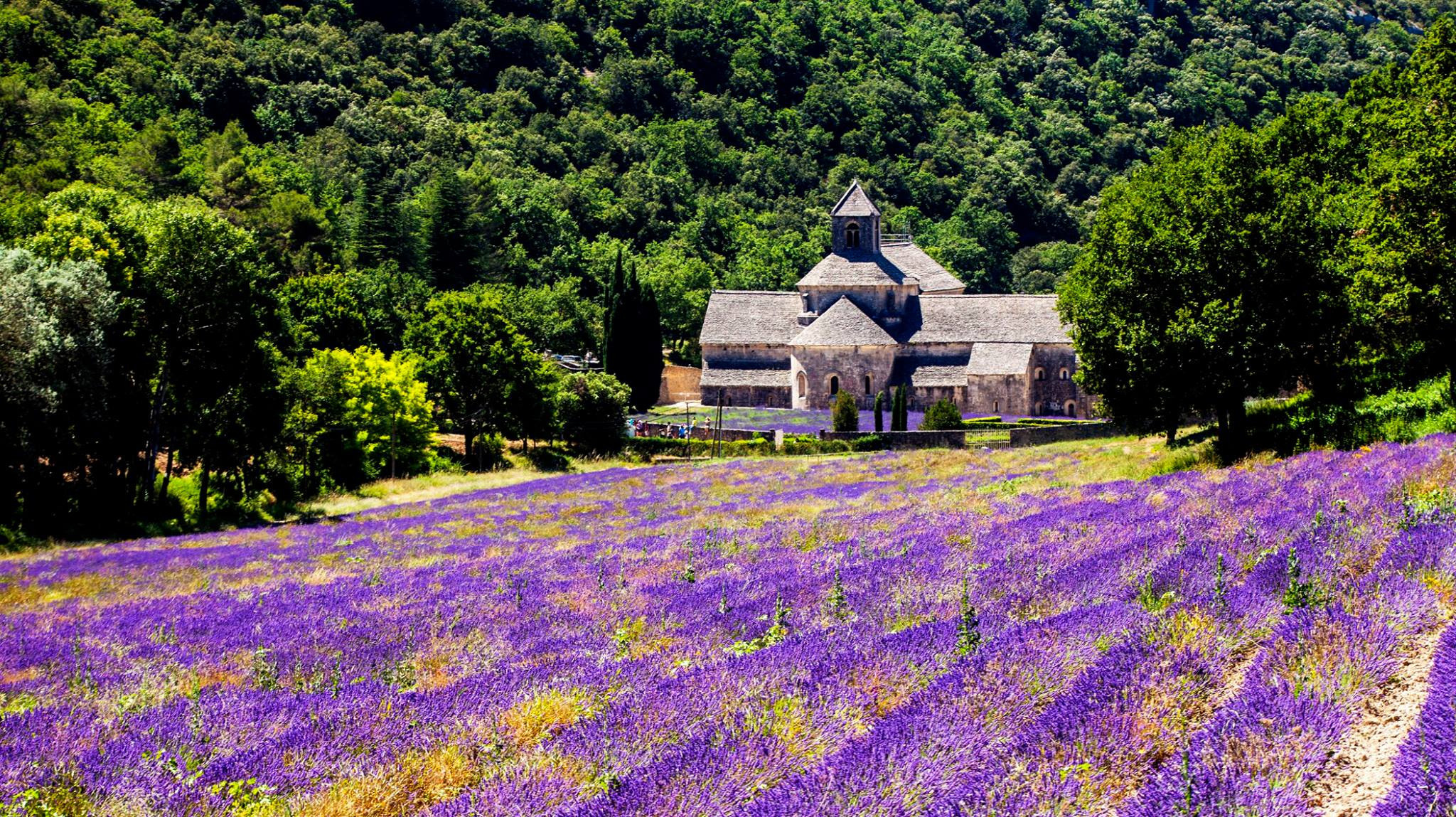 46.France 4/7-8/7/2018. Klášteru Sénanque. Путешествия в формате 360......