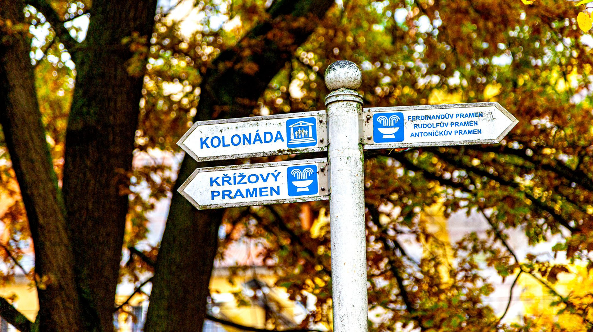 91.Marianske Lezne.12/10-18/10/2020. Путешествия в формате 360......