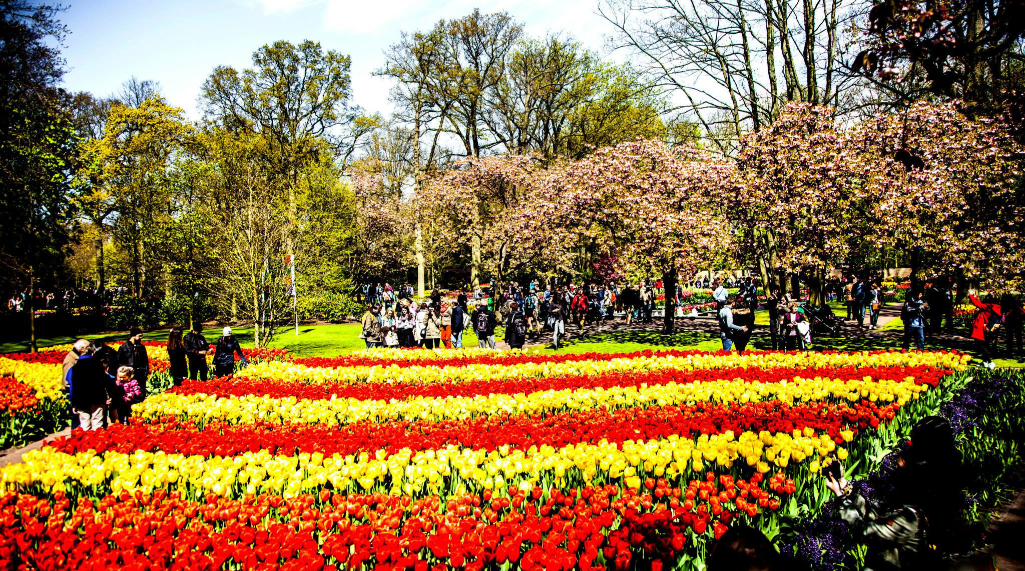12.Keukenhof — 8 000 000…. Путешествия в формате 360......