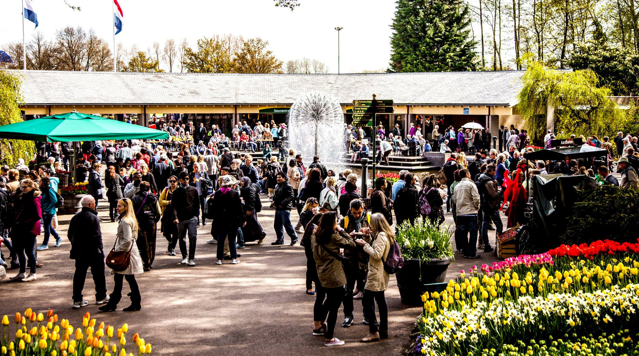 12.Keukenhof — 8 000 000…. Путешествия в формате 360......