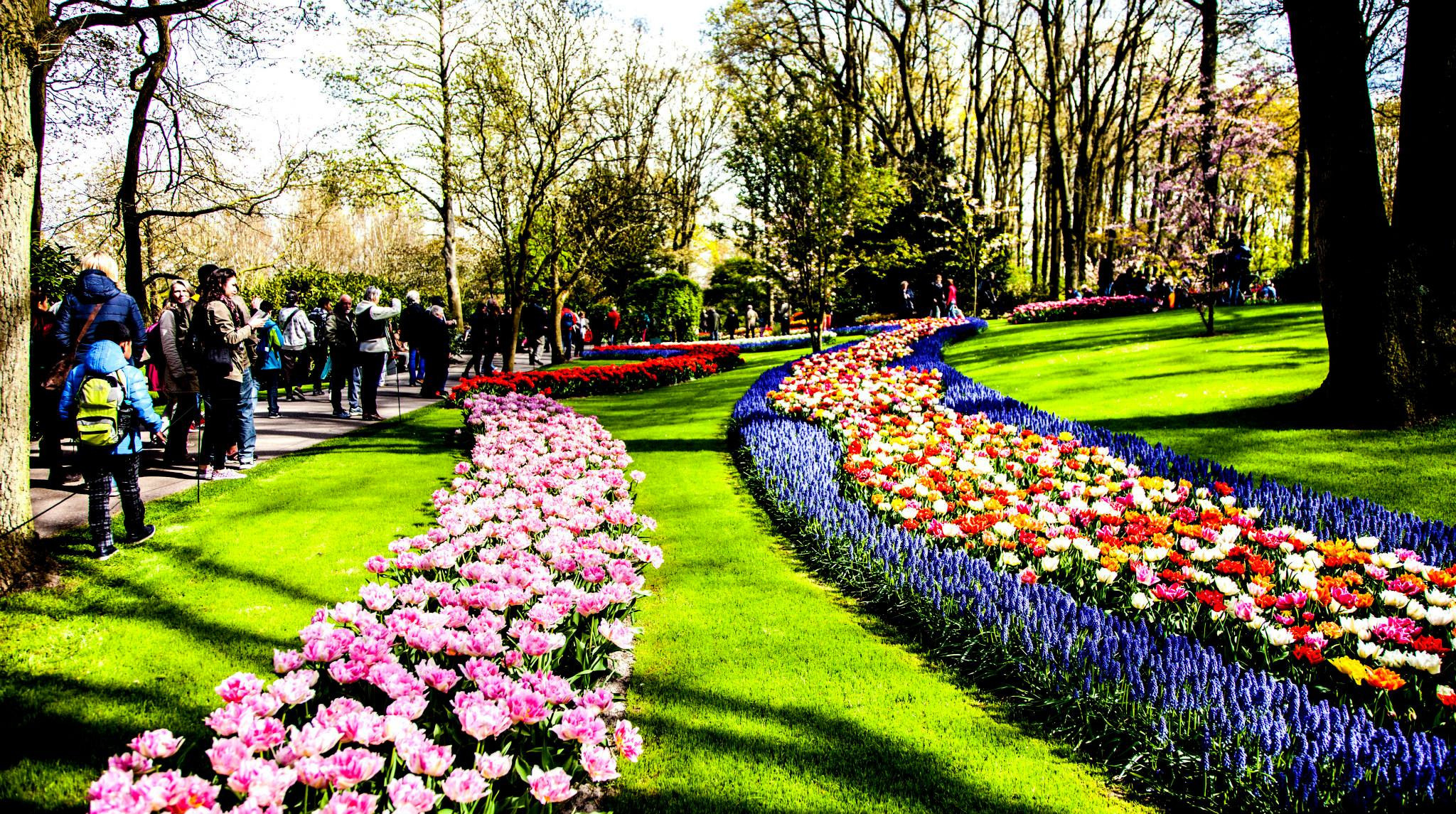 12.Keukenhof — 8 000 000…. Путешествия в формате 360......