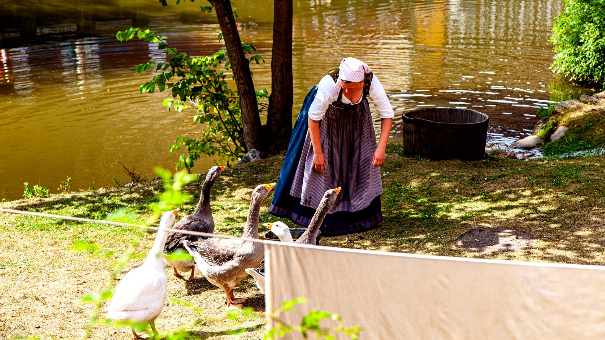 61.Kongeriget Danmark.Argus.Den Gamle By.22/7-30/7/2019. Путешествия в формате 360......