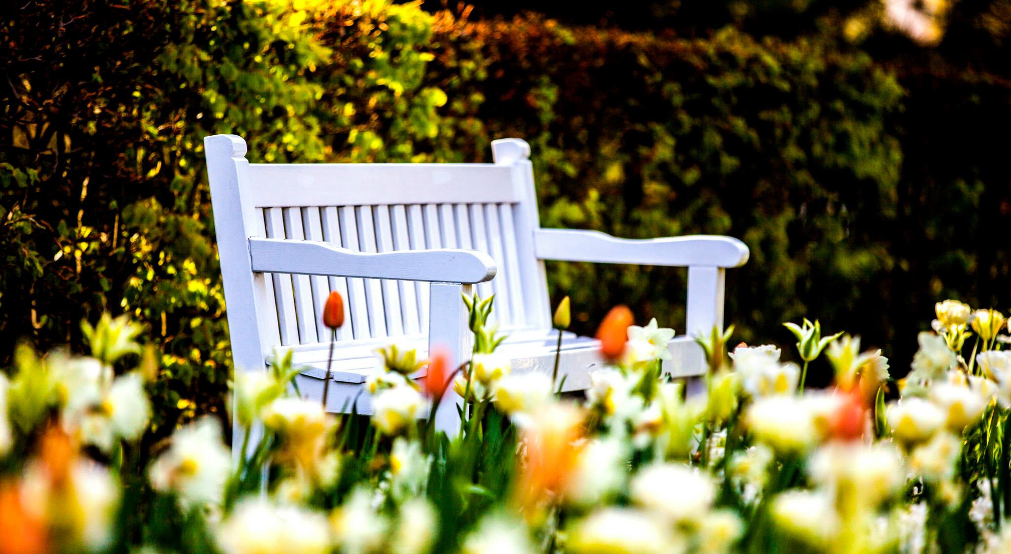 12.Keukenhof — 8 000 000…. Путешествия в формате 360......