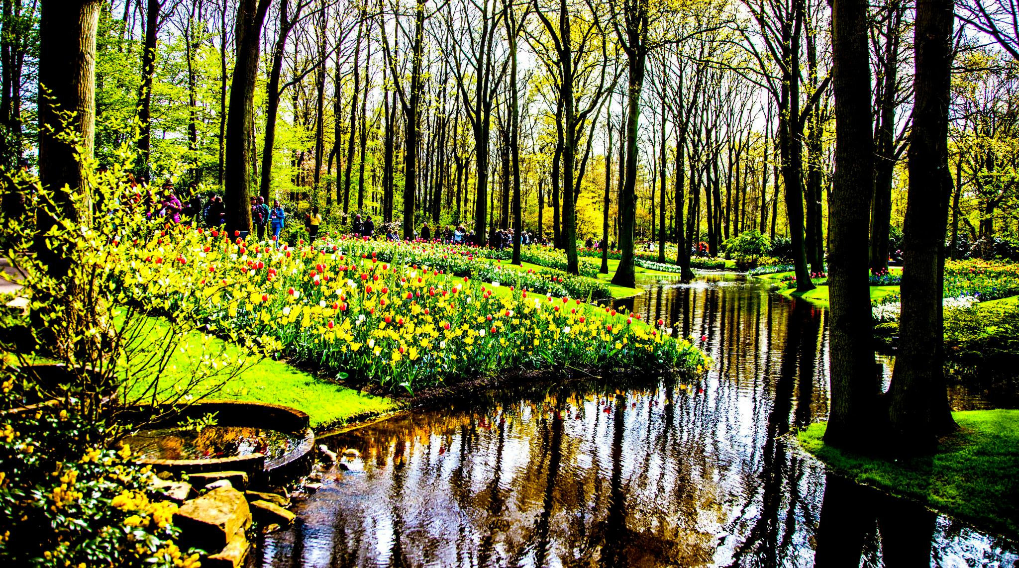 12.Keukenhof — 8 000 000…. Путешествия в формате 360......