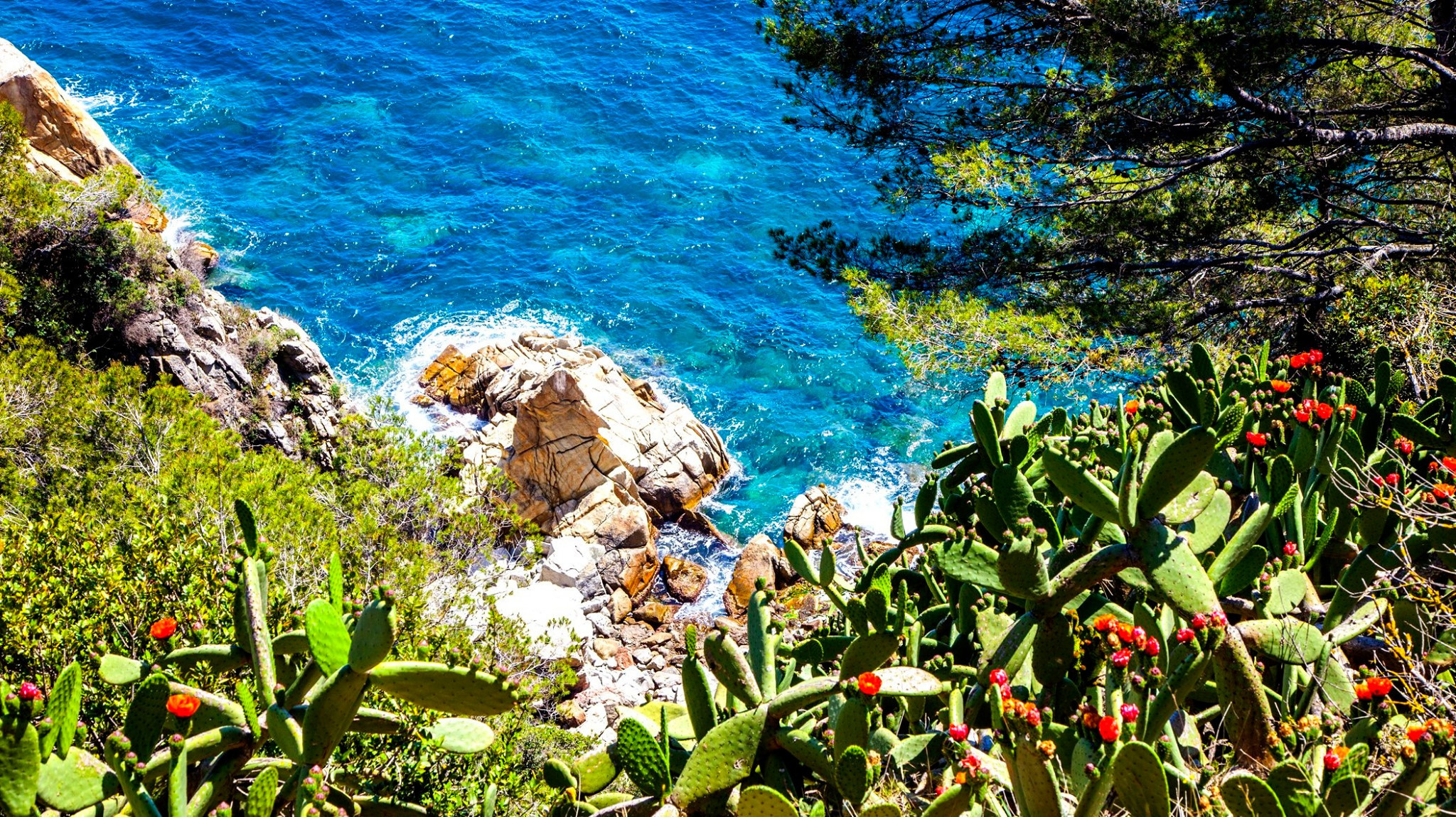 49.Spain.Lloret de Mar.30.5.2019. Путешествия в формате 360......
