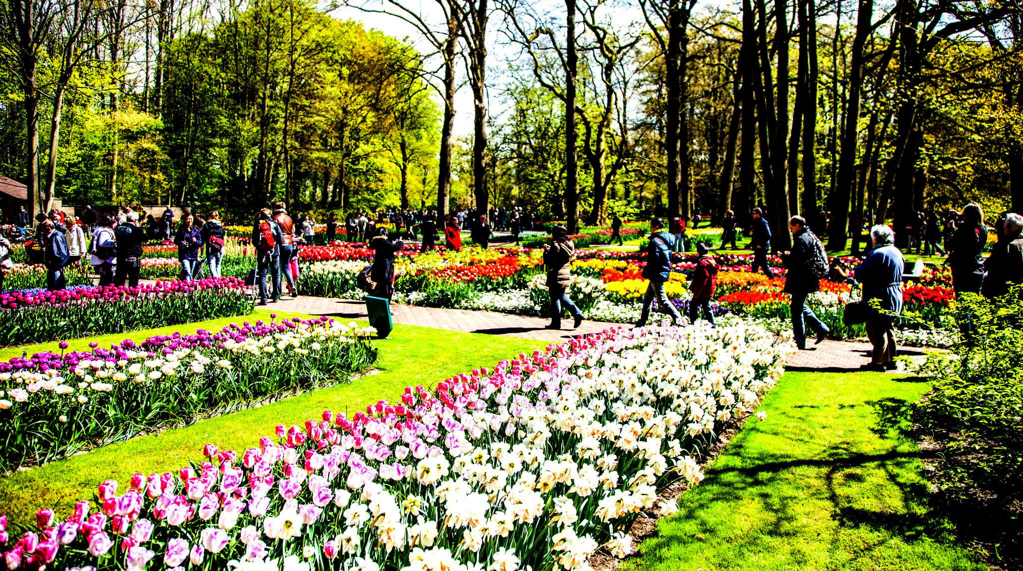 12.Keukenhof — 8 000 000…. Путешествия в формате 360......