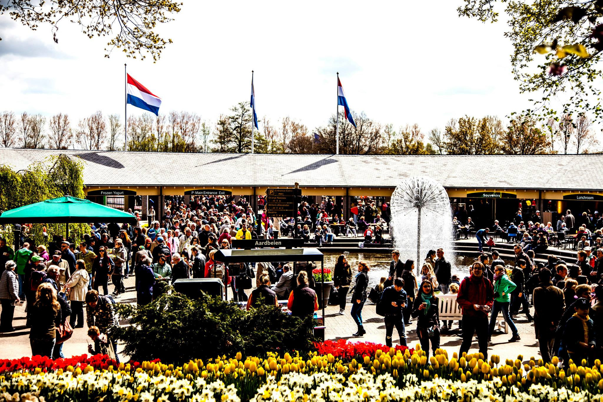12.Keukenhof — 8 000 000…. Путешествия в формате 360......