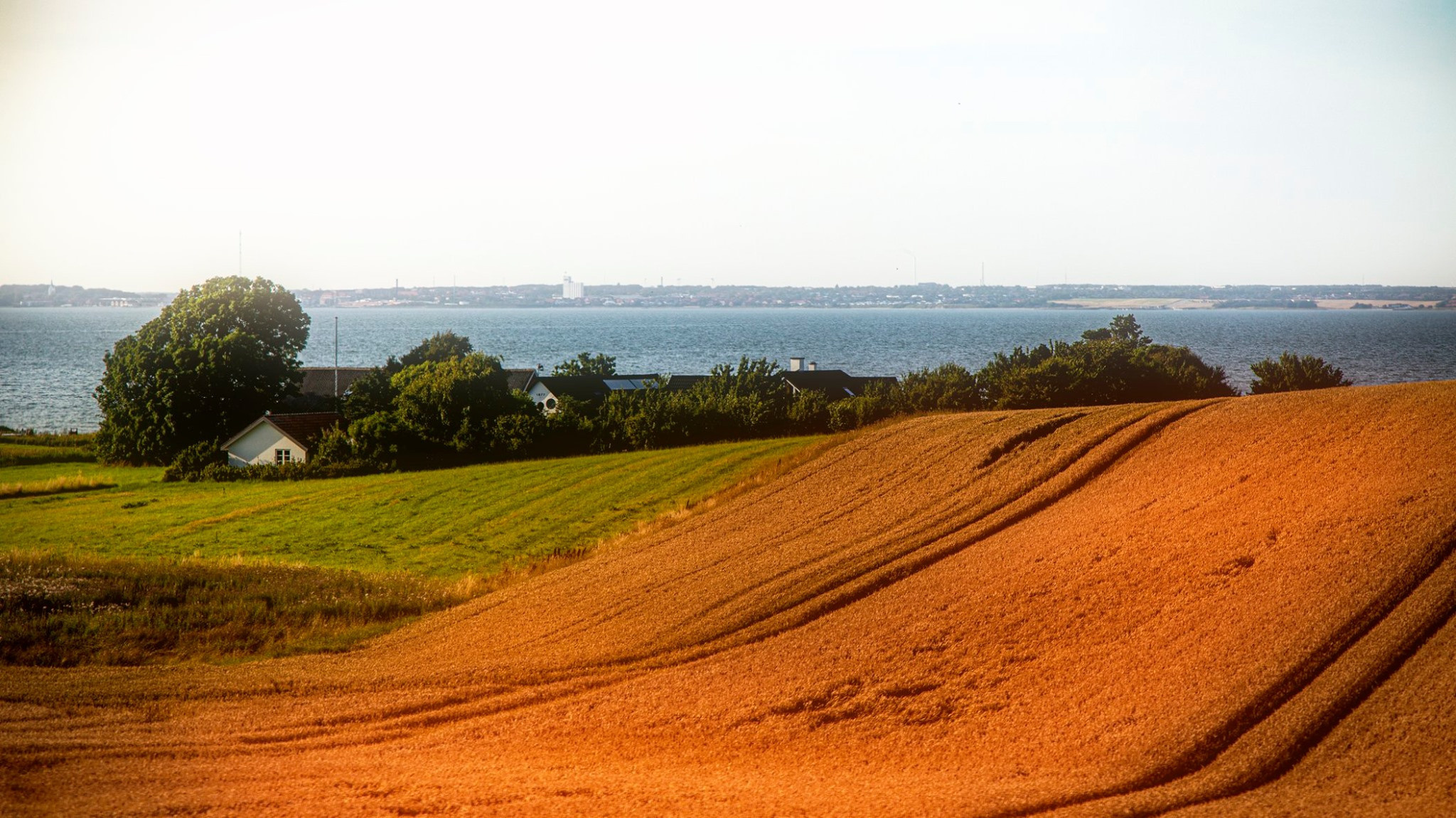 60.Kongeriget Danmark.Limfjord.Ostrov Mors.22/7-30/7/2019. Путешествия в формате 360......