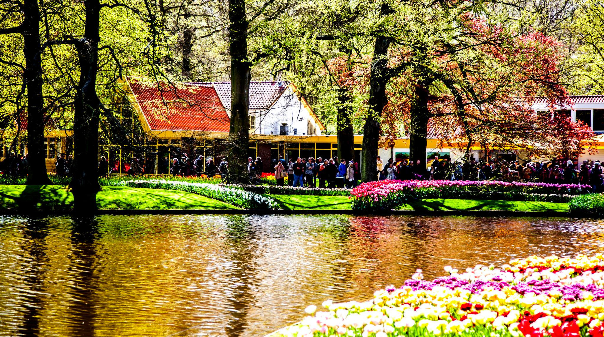 12.Keukenhof — 8 000 000…. Путешествия в формате 360......