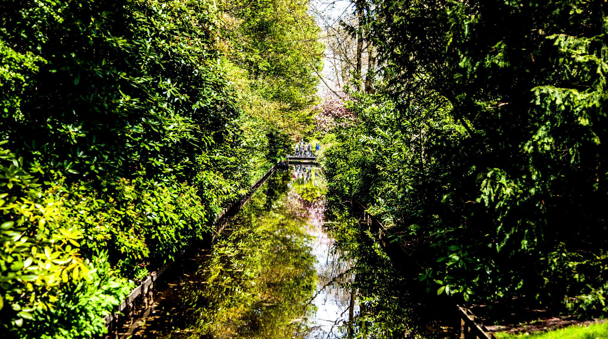 12.Keukenhof — 8 000 000…. Путешествия в формате 360......