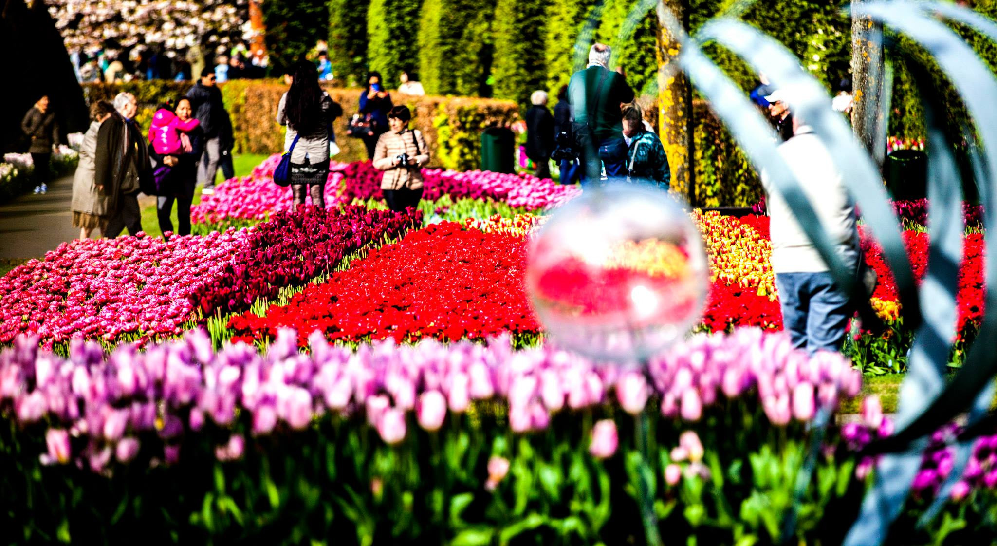12.Keukenhof — 8 000 000…. Путешествия в формате 360......