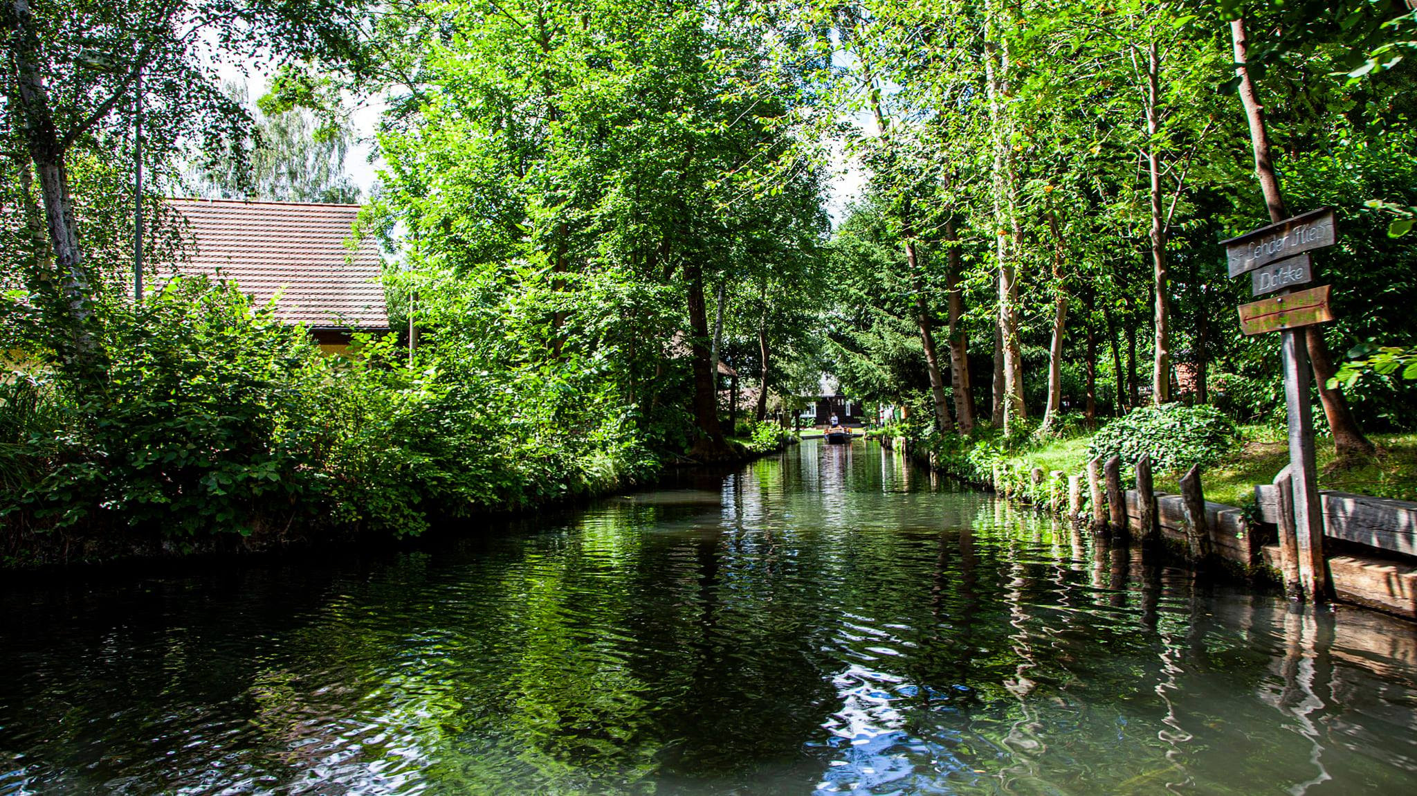 79.Lübbenau/Spreewald.27/6/2020. Путешествия в формате 360......