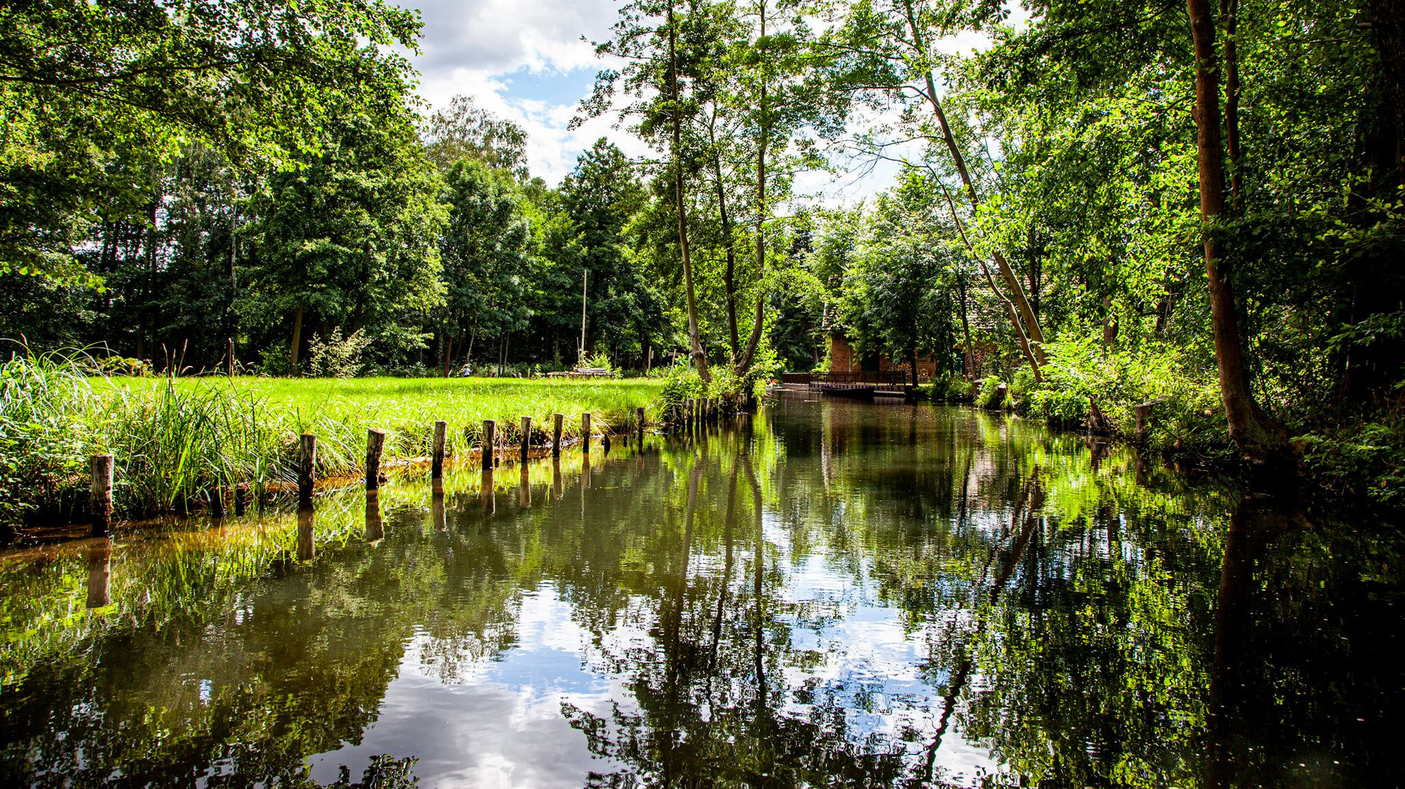 79.Lübbenau/Spreewald.27/6/2020. Путешествия в формате 360......