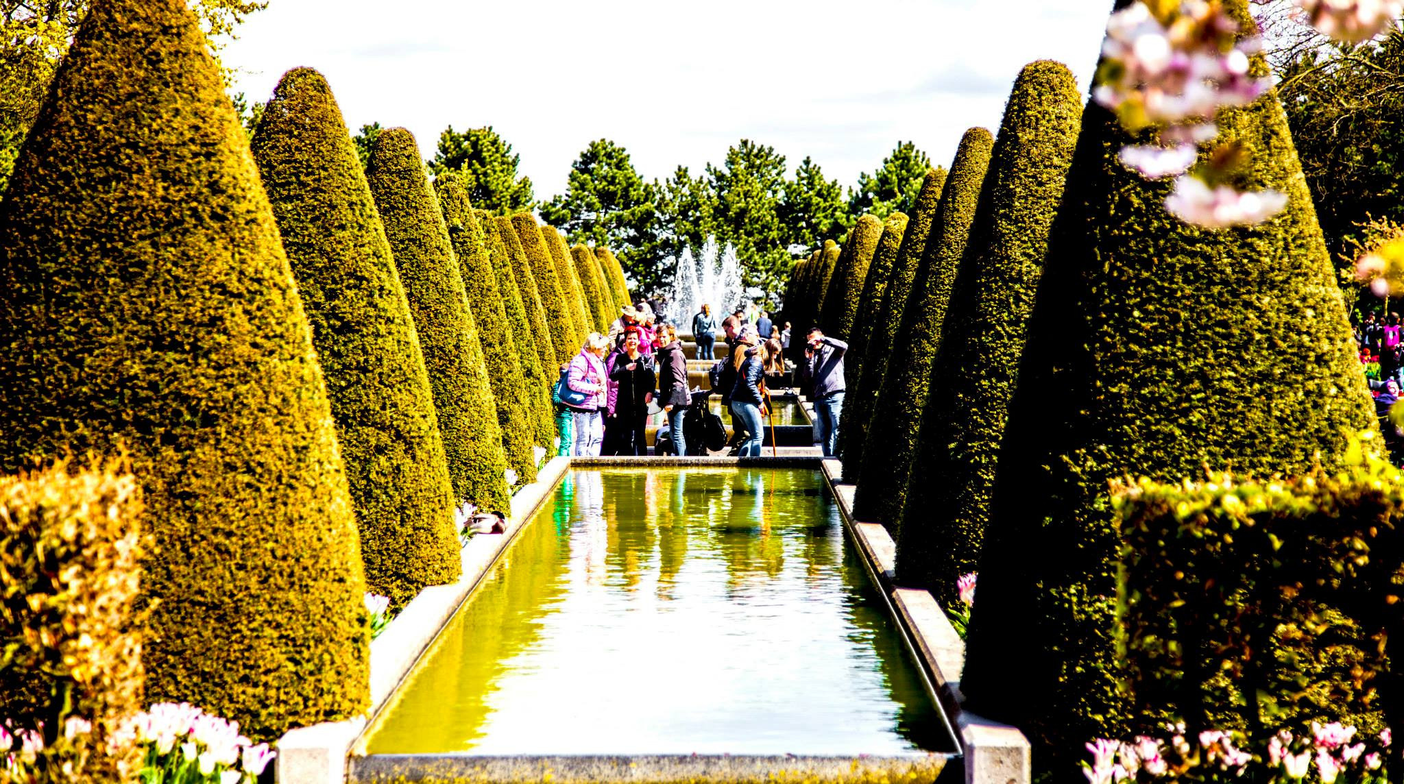 12.Keukenhof — 8 000 000…. Путешествия в формате 360......