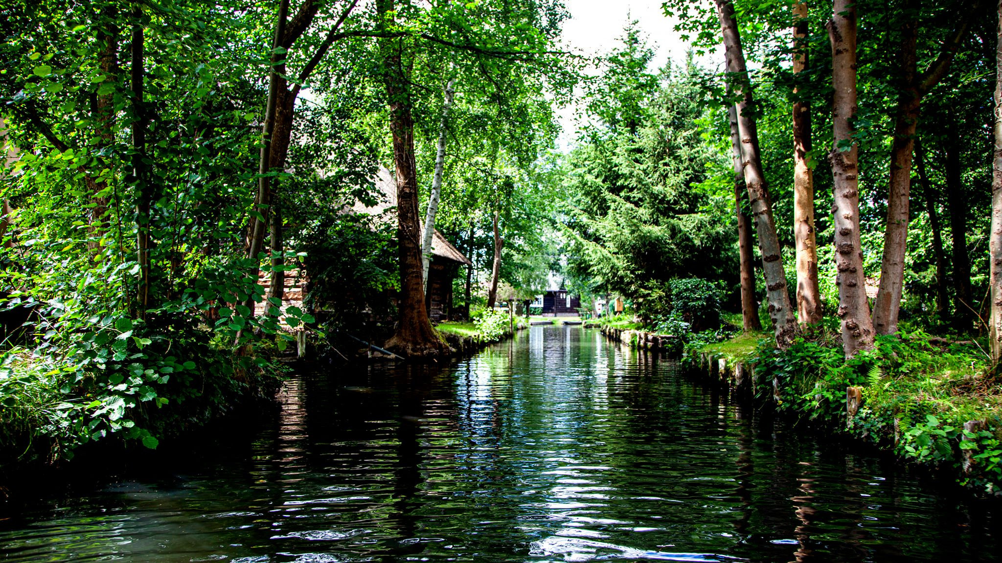 79.Lübbenau/Spreewald.27/6/2020. Путешествия в формате 360......