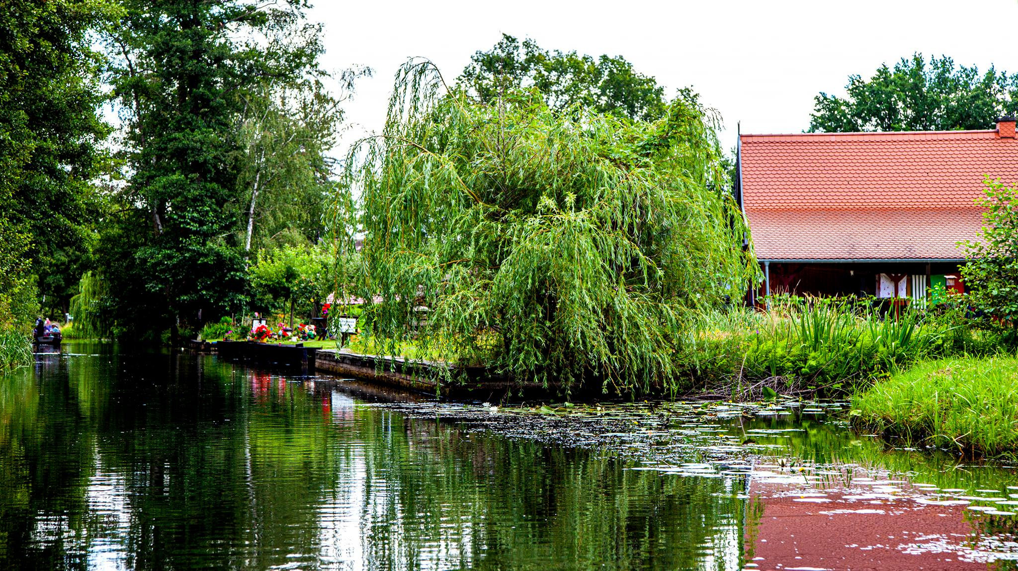 79.Lübbenau/Spreewald.27/6/2020. Путешествия в формате 360......