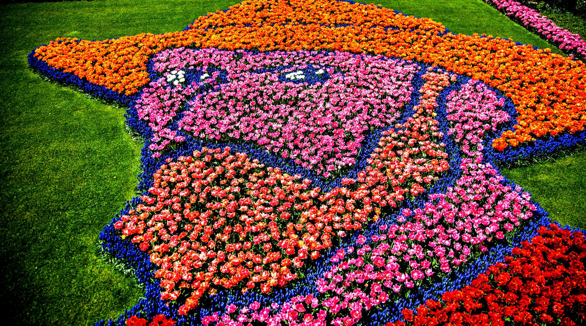 12.Keukenhof — 8 000 000…. Путешествия в формате 360......