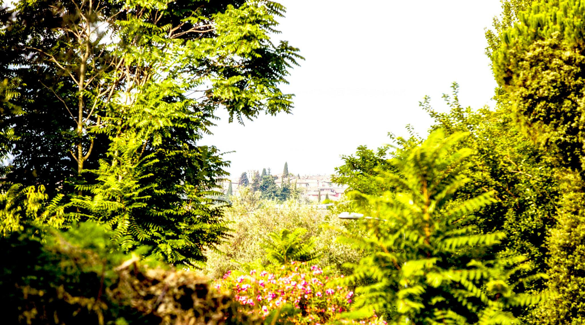 19.Lago di Garda. Путешествия в формате 360......