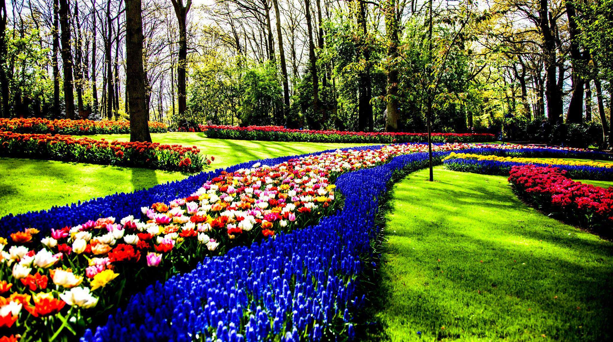12.Keukenhof — 8 000 000…. Путешествия в формате 360......