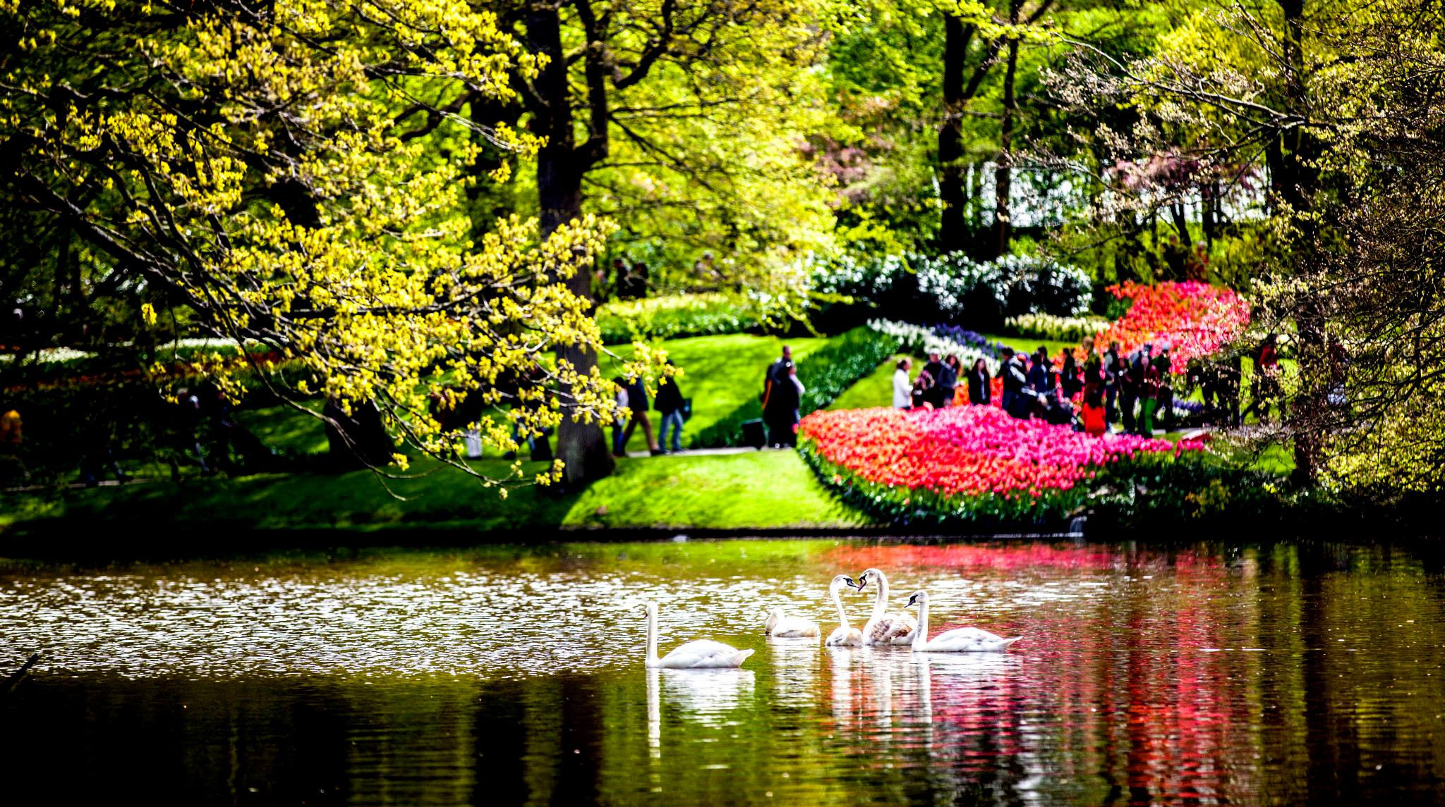 12.Keukenhof — 8 000 000…. Путешествия в формате 360......