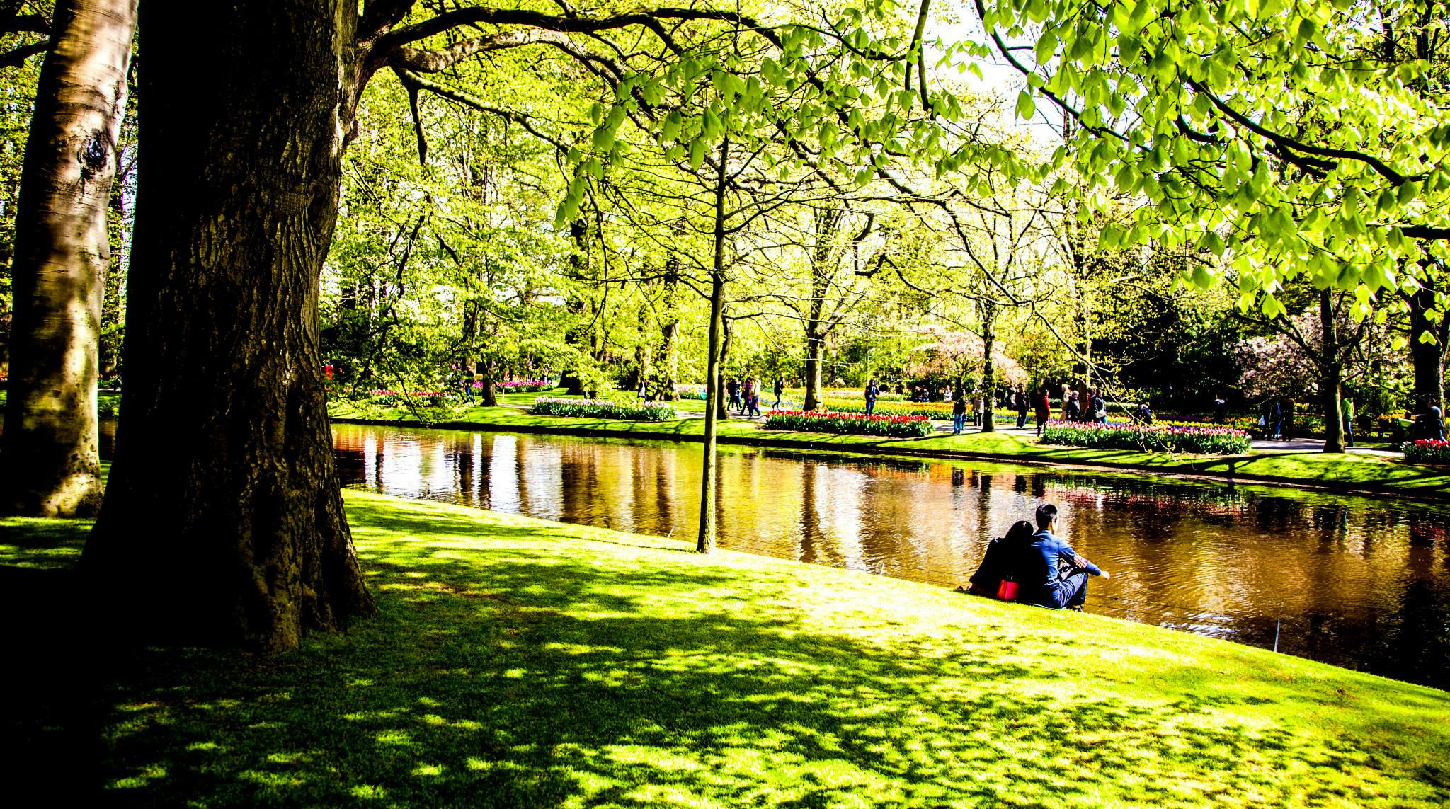 12.Keukenhof — 8 000 000…. Путешествия в формате 360......