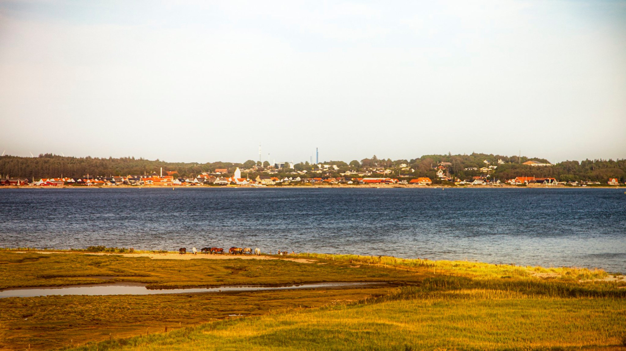 60.Kongeriget Danmark.Limfjord.Ostrov Mors.22/7-30/7/2019. Путешествия в формате 360......