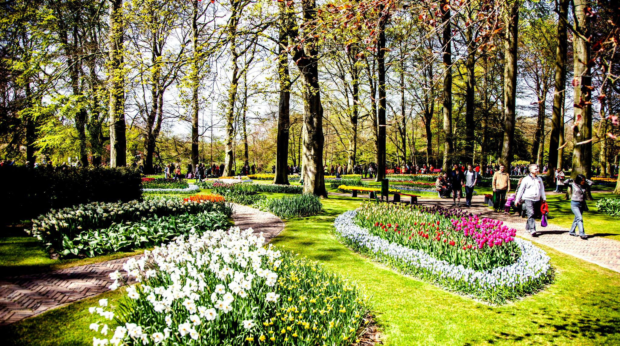 12.Keukenhof — 8 000 000…. Путешествия в формате 360......