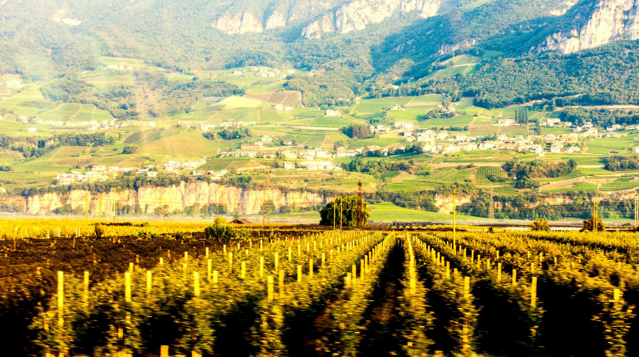 19.Lago di Garda. Путешествия в формате 360......